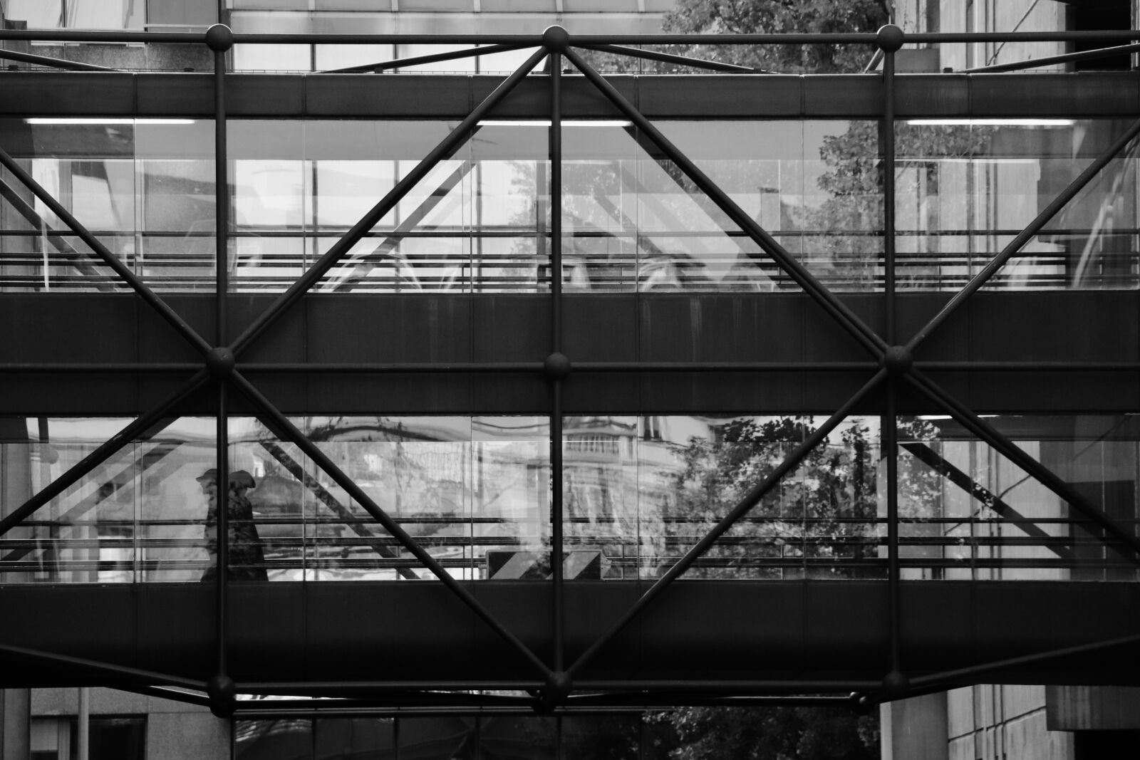 Canon EOS 800D (EOS Rebel T7i / EOS Kiss X9i) sample photo. Geometry, pond, bridge photography