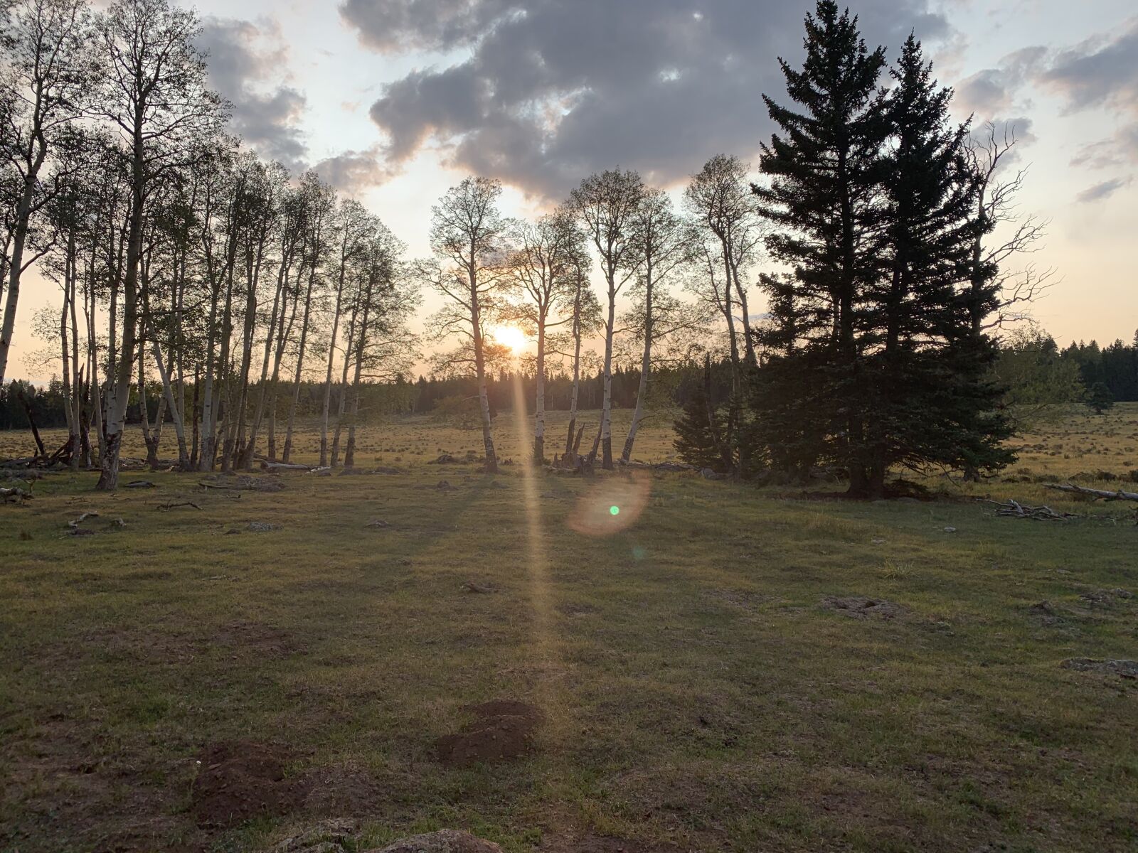 iPhone XR back camera 4.25mm f/1.8 sample photo. New mexico, wilderness, sunrise photography