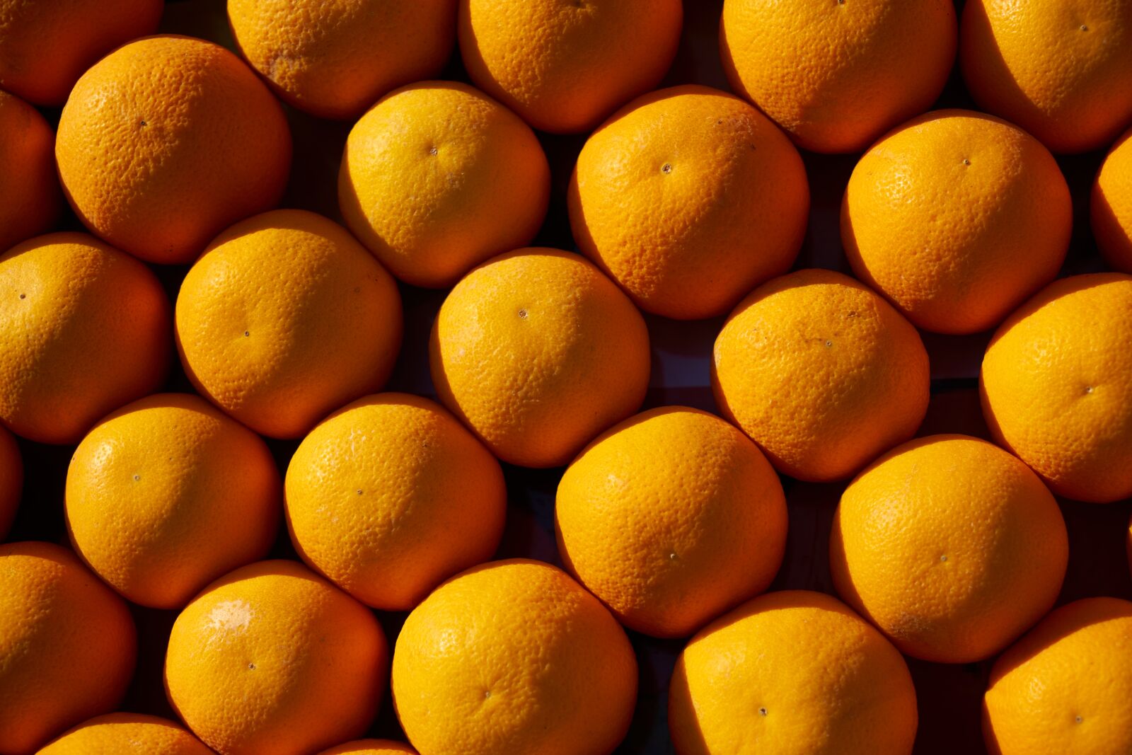 Sony a7R II sample photo. Orange, fruit, food photography