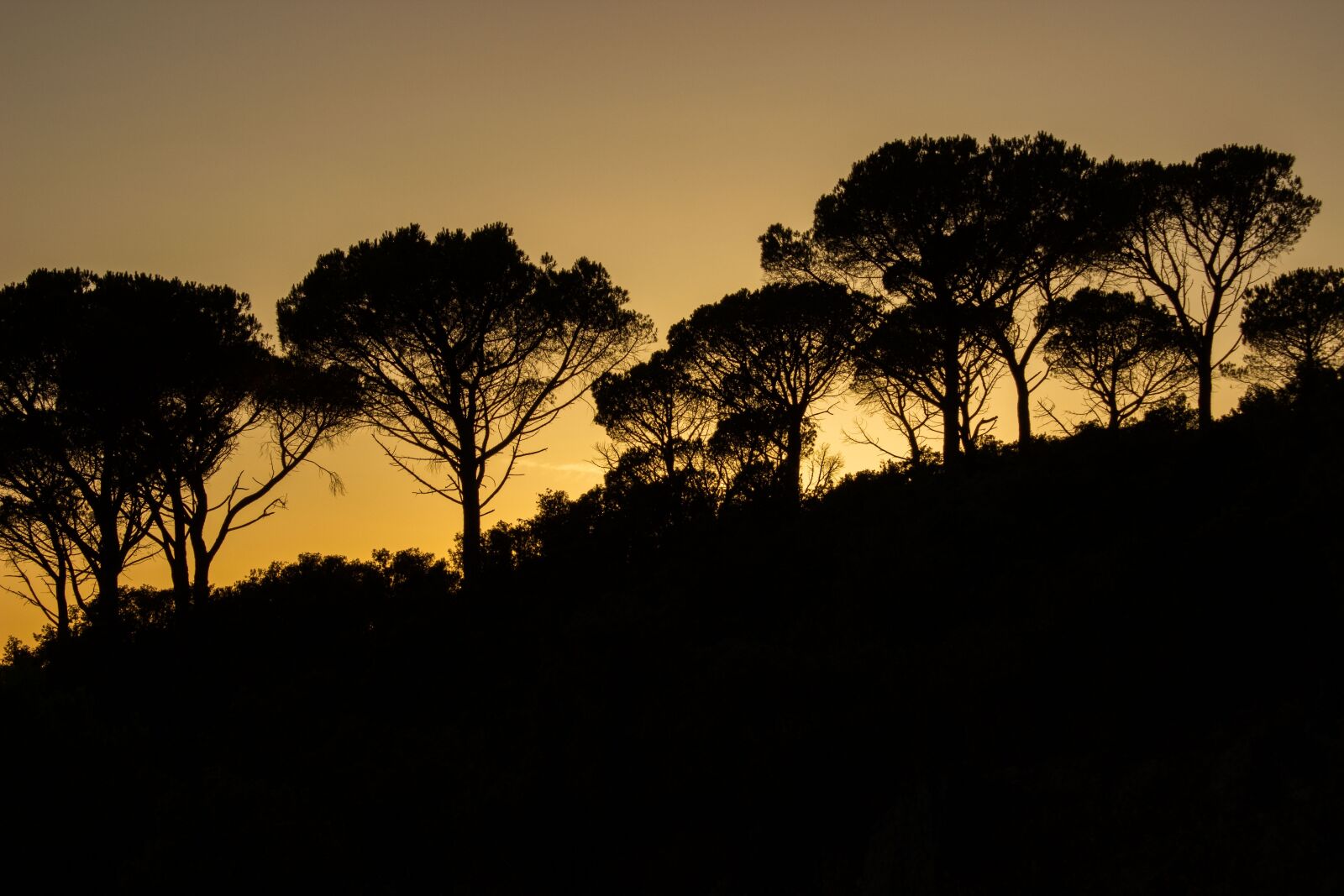 Canon EOS 600D (Rebel EOS T3i / EOS Kiss X5) sample photo. Abendstimmung, tuscany, italy photography