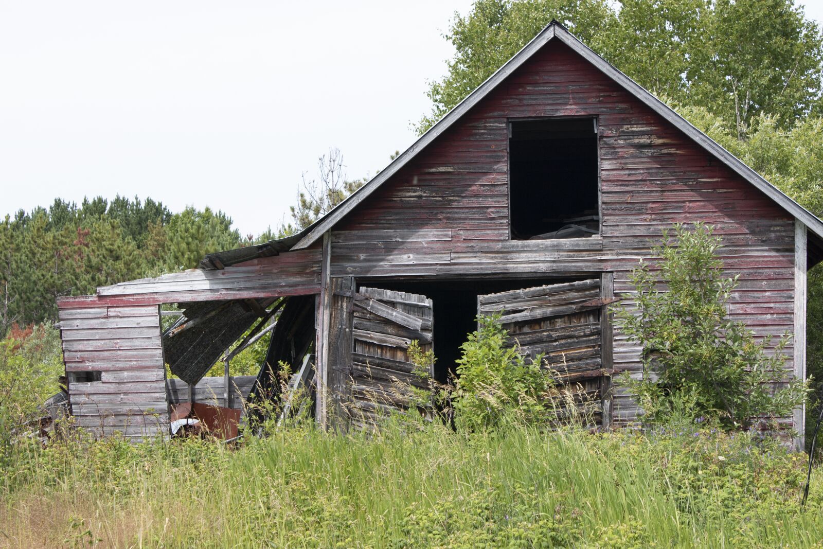 Canon EF-S 18-55mm F3.5-5.6 IS sample photo. Barn, old, field photography