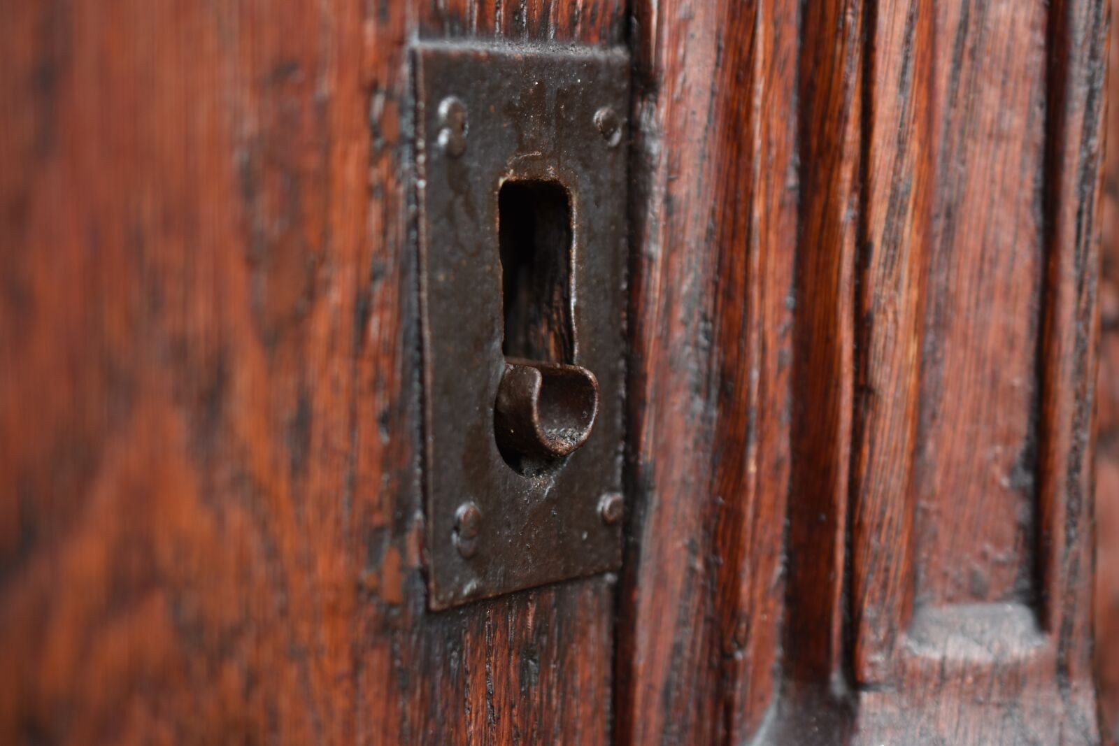 Nikon D5600 sample photo. Lock, door, metal photography
