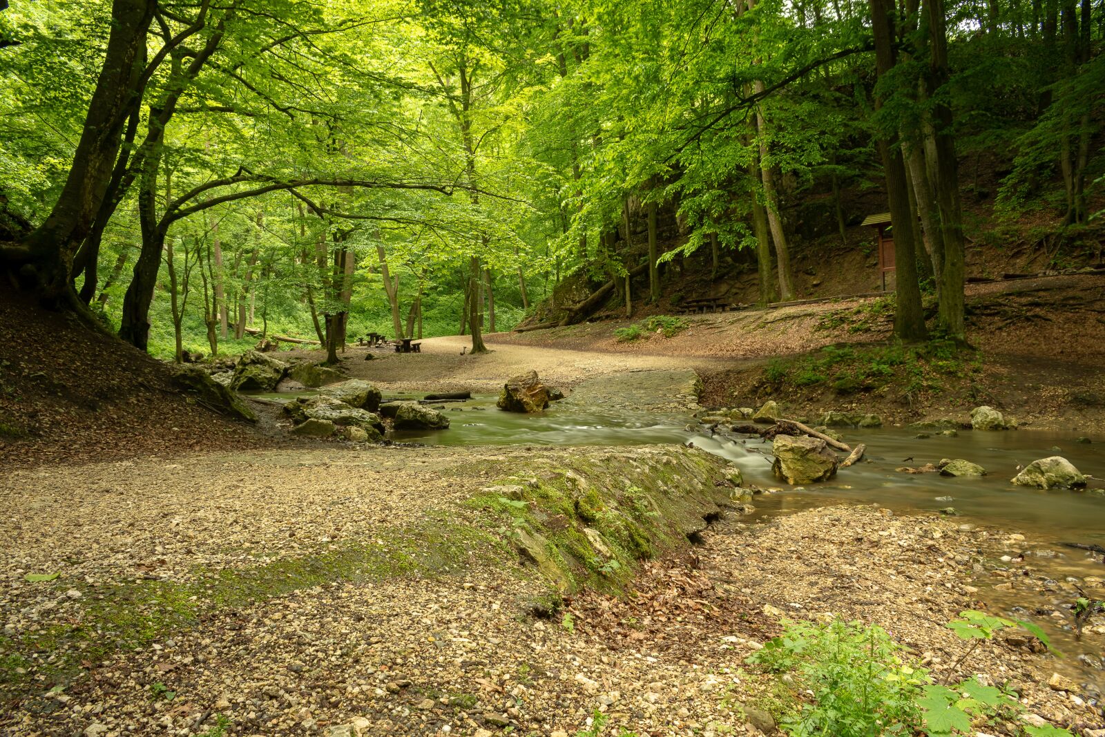 Nikon D7200 sample photo. Hiking, forest, rest photography