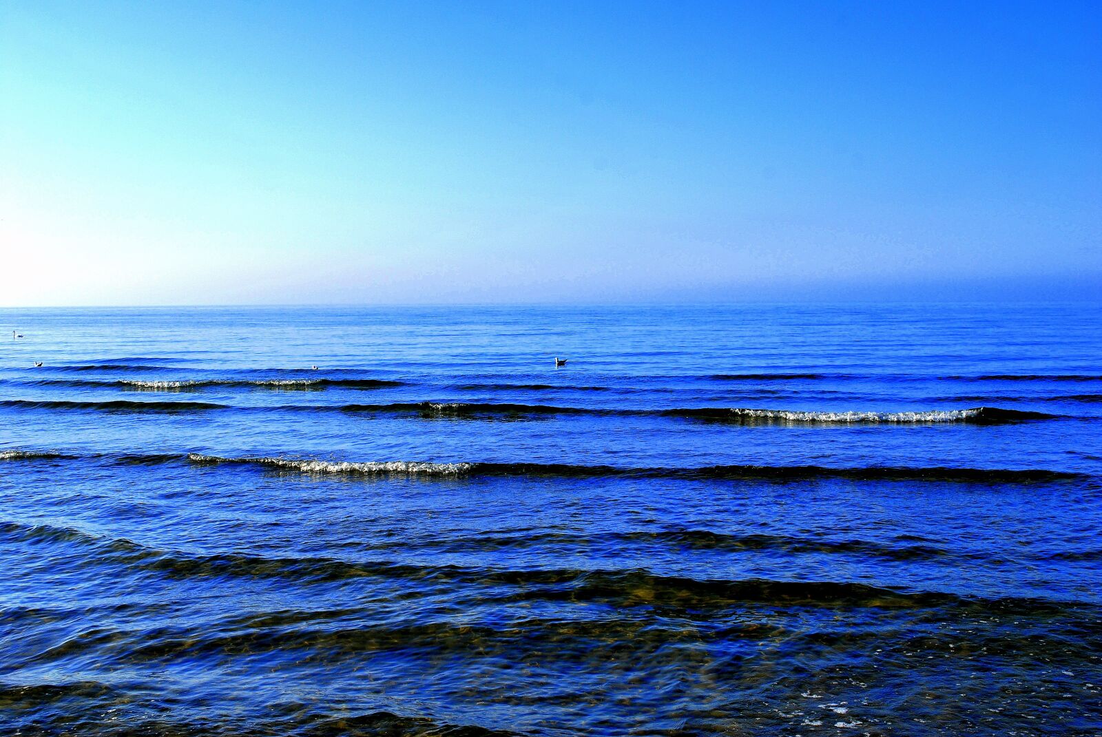 Nikon D60 sample photo. The baltic sea, sea photography