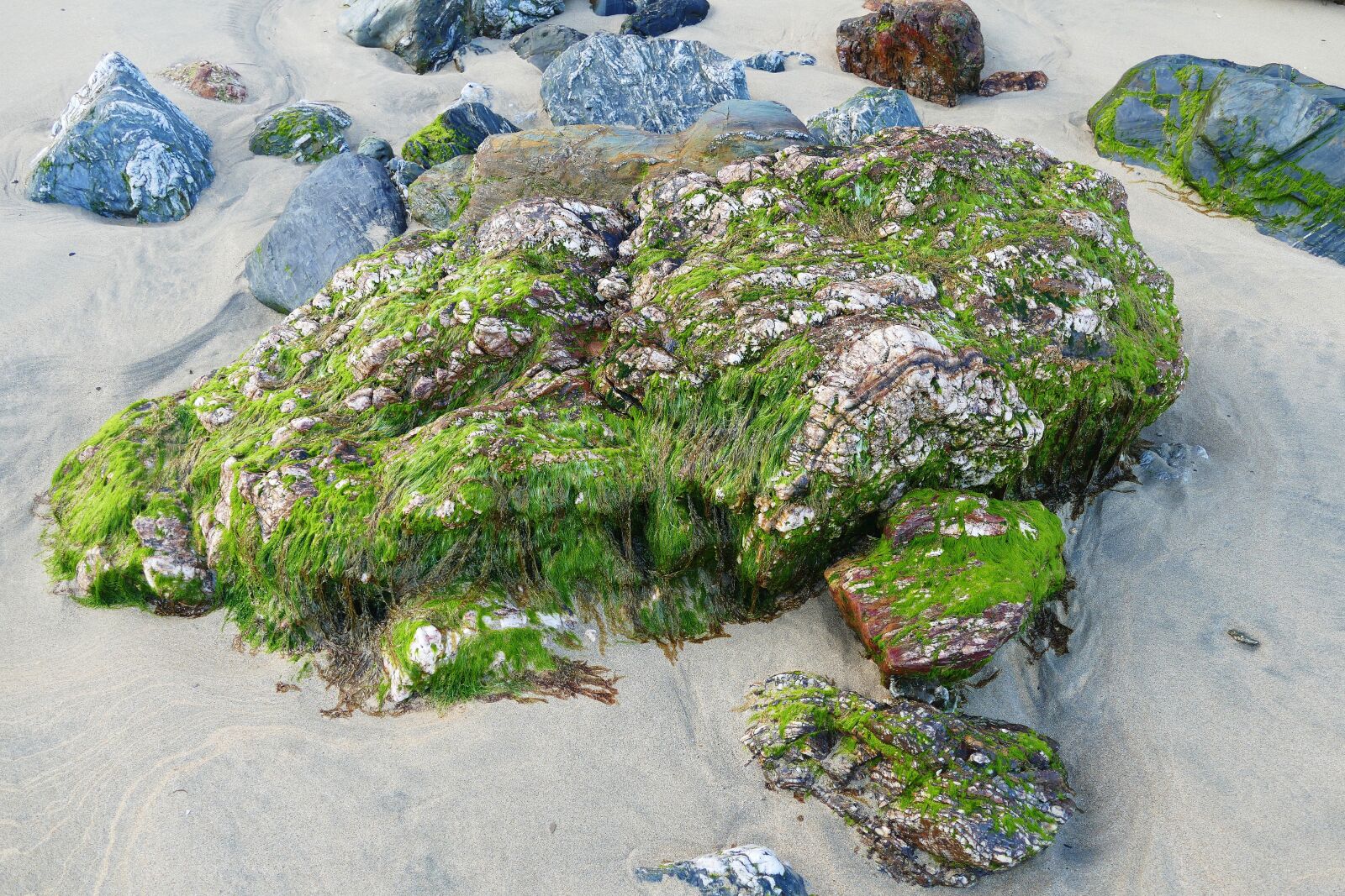 Panasonic Lumix DMC-FZ1000 sample photo. Beach, rock, stone photography