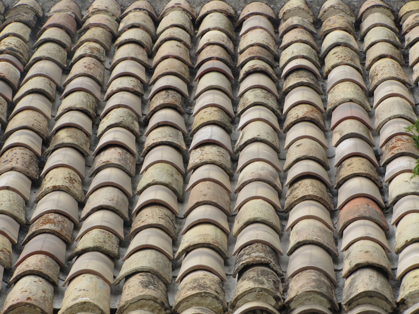 Canon PowerShot SX20 IS sample photo. Roof, tiles, terracotta photography