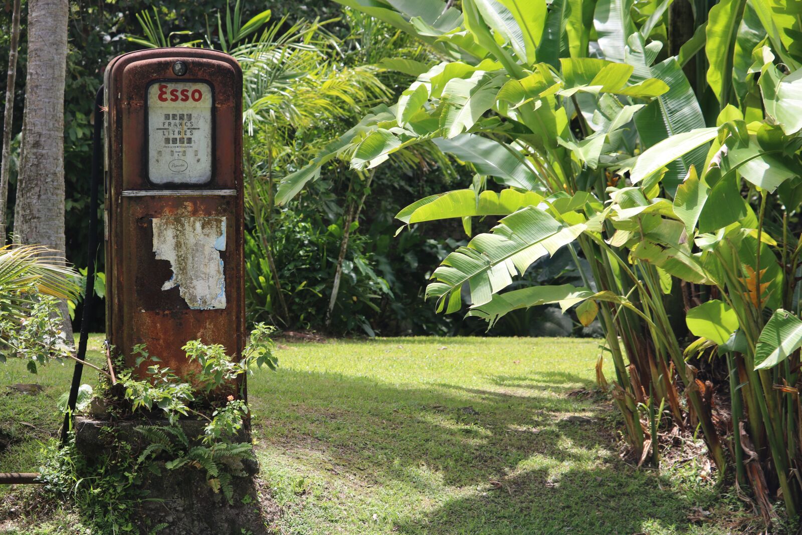 Canon EOS 760D (EOS Rebel T6s / EOS 8000D) sample photo. Vintage, pump, gasoline photography