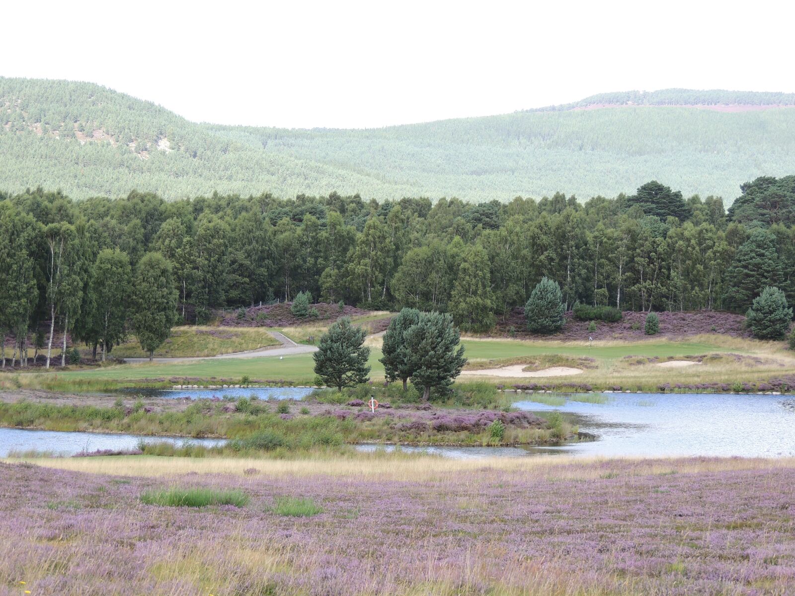 Nikon Coolpix P510 sample photo. Heather, mist, trees photography