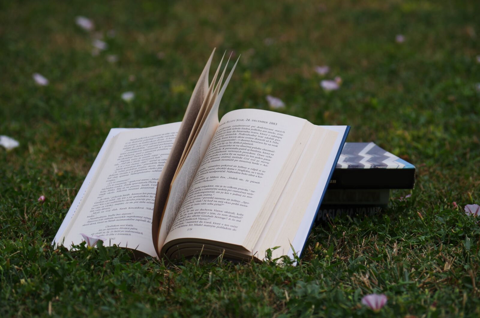 Pentax K-500 sample photo. Books, reading, to read photography