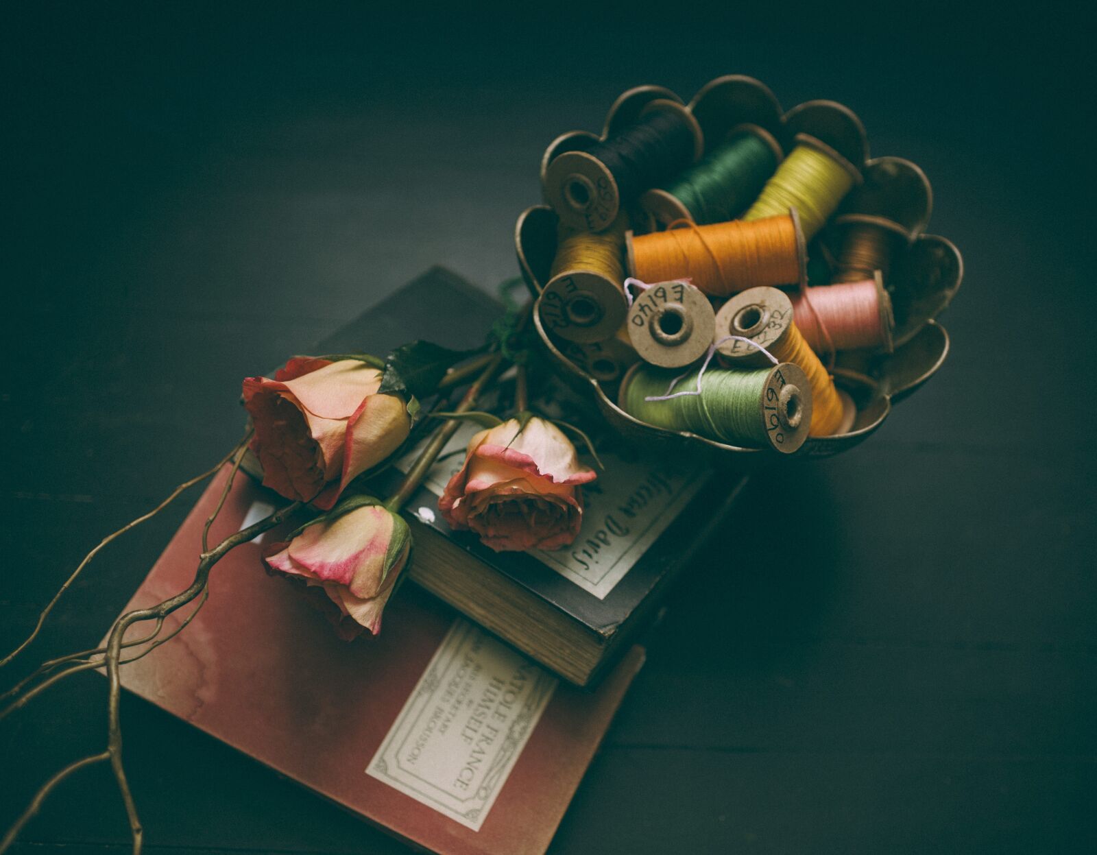 Nikon D4S sample photo. Books, colorful, colourful photography