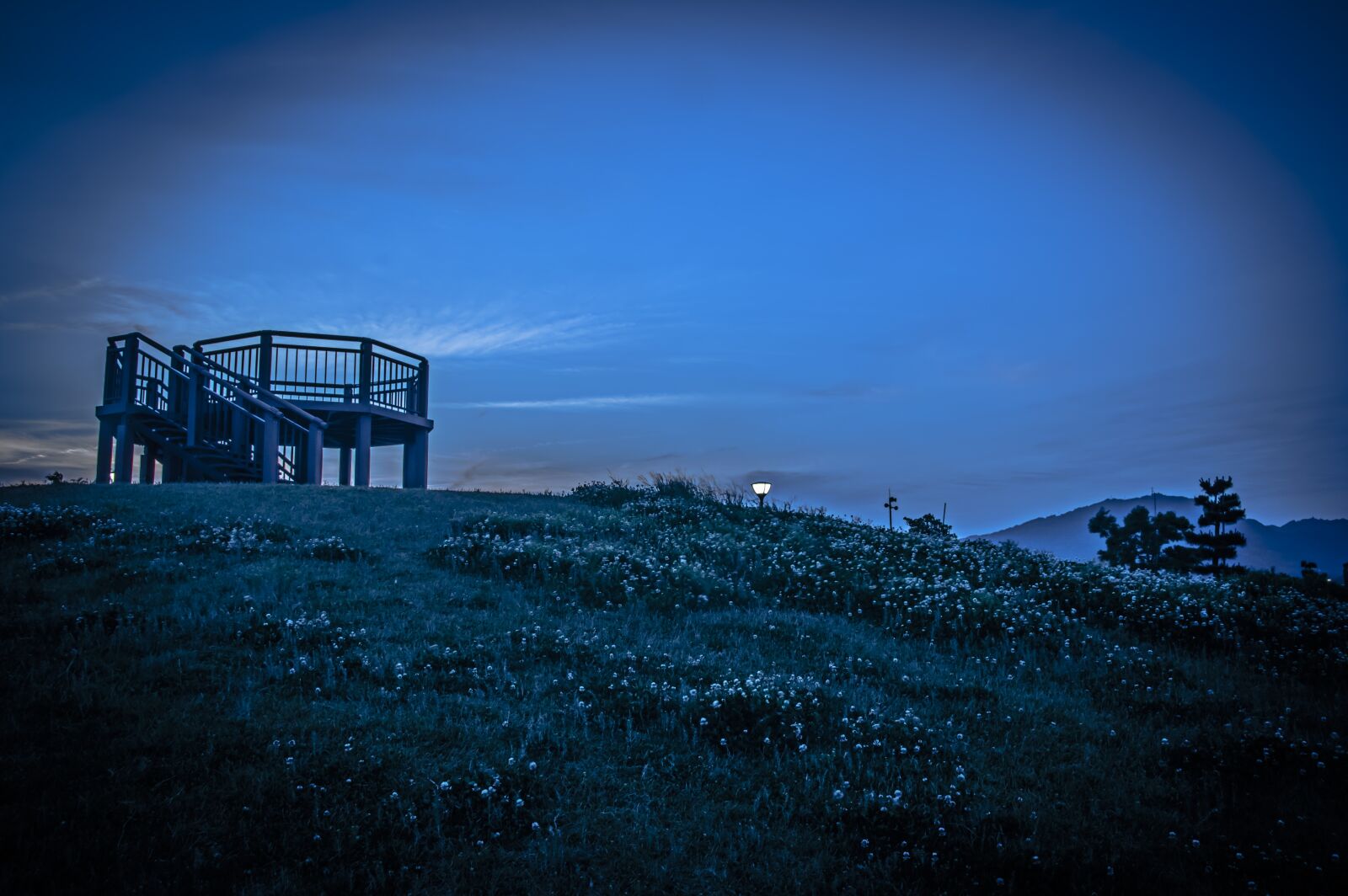 Pentax K-3 sample photo. Night, park, japan photography
