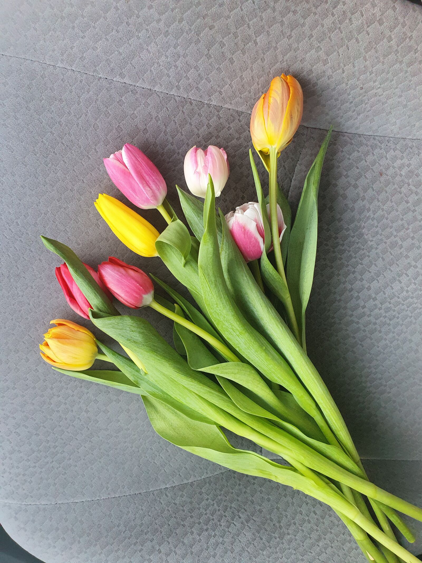Samsung Galaxy S10 sample photo. Tulips, march 8, flowers photography