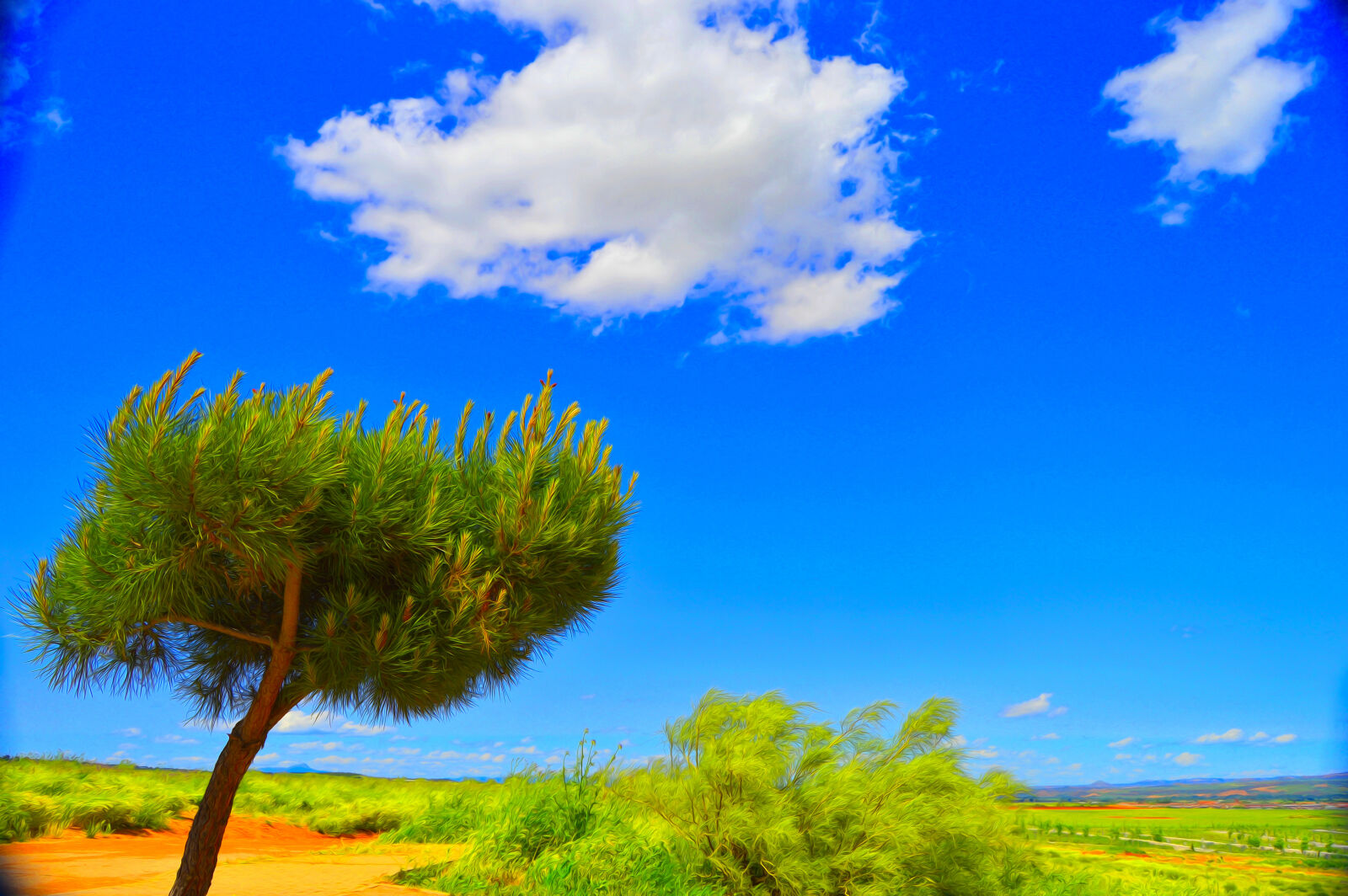 Nikon D3200 sample photo. Nature photography
