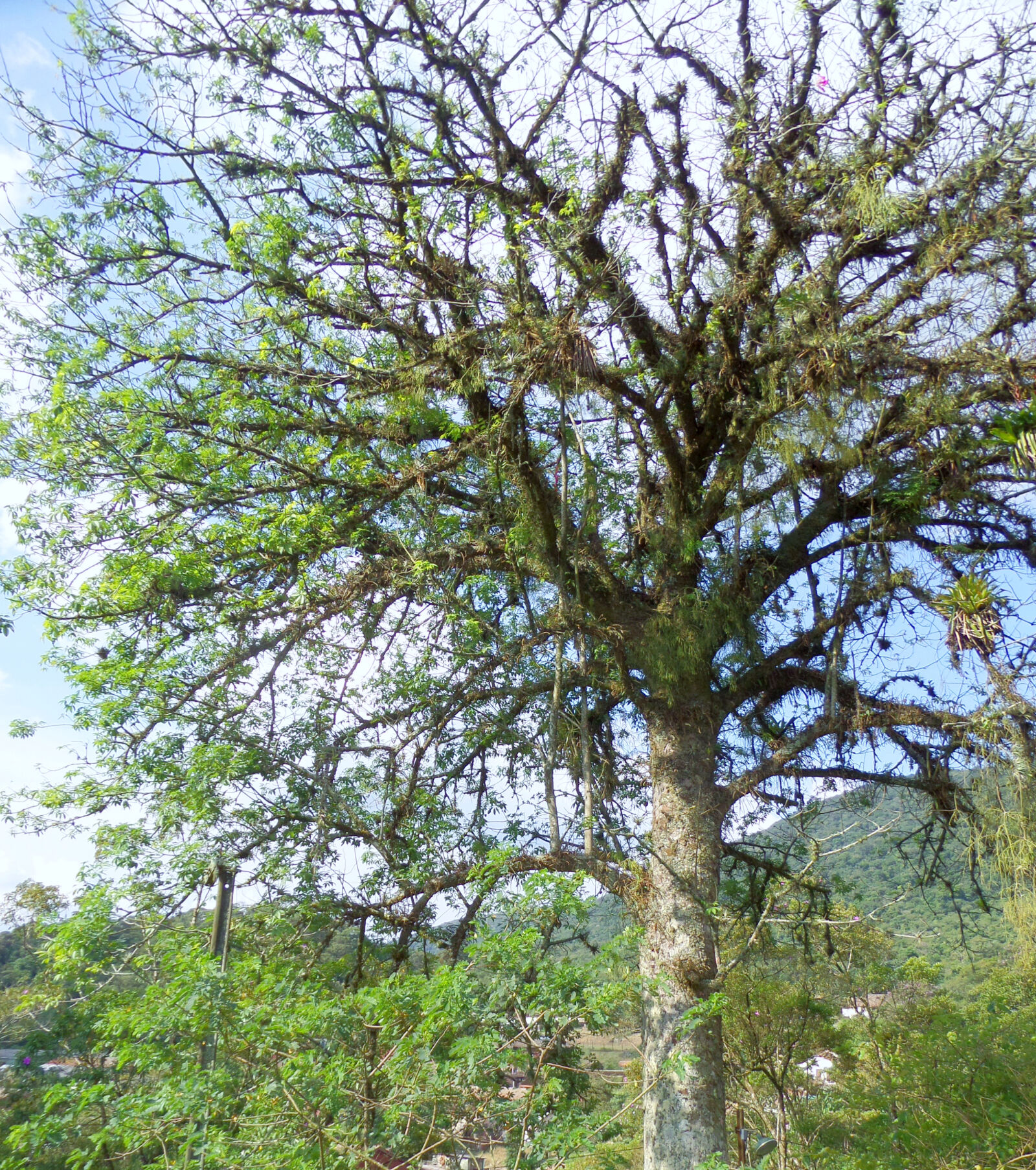 Samsung WB250F/WB251F/WB252F sample photo. Antique, brasil, history, old photography