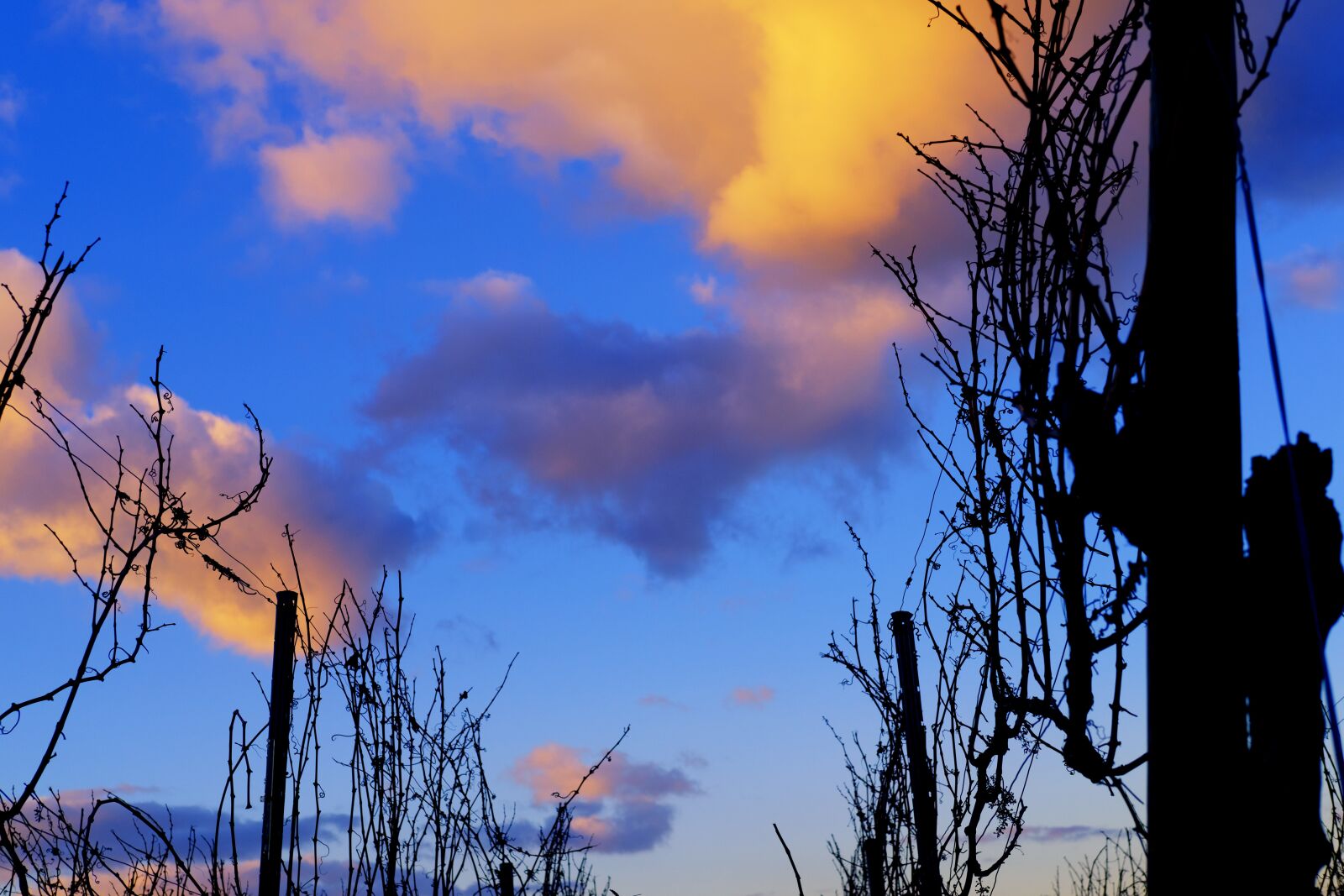 Fujifilm X-T2 + Fujifilm XF 35mm F2 R WR sample photo. Sky, clouds, mood photography