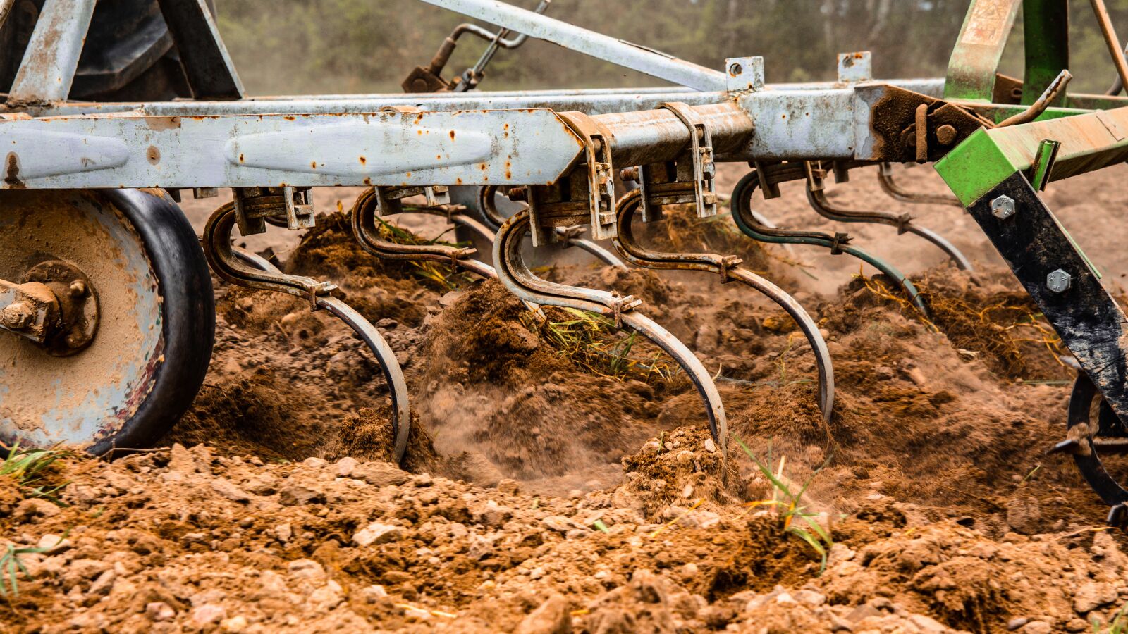 Canon EOS 700D (EOS Rebel T5i / EOS Kiss X7i) sample photo. Agriculture, orka, to plow photography