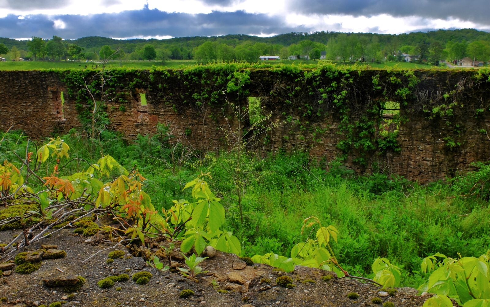 Fujifilm X30 sample photo. Abandoned rock wall, overgrown photography