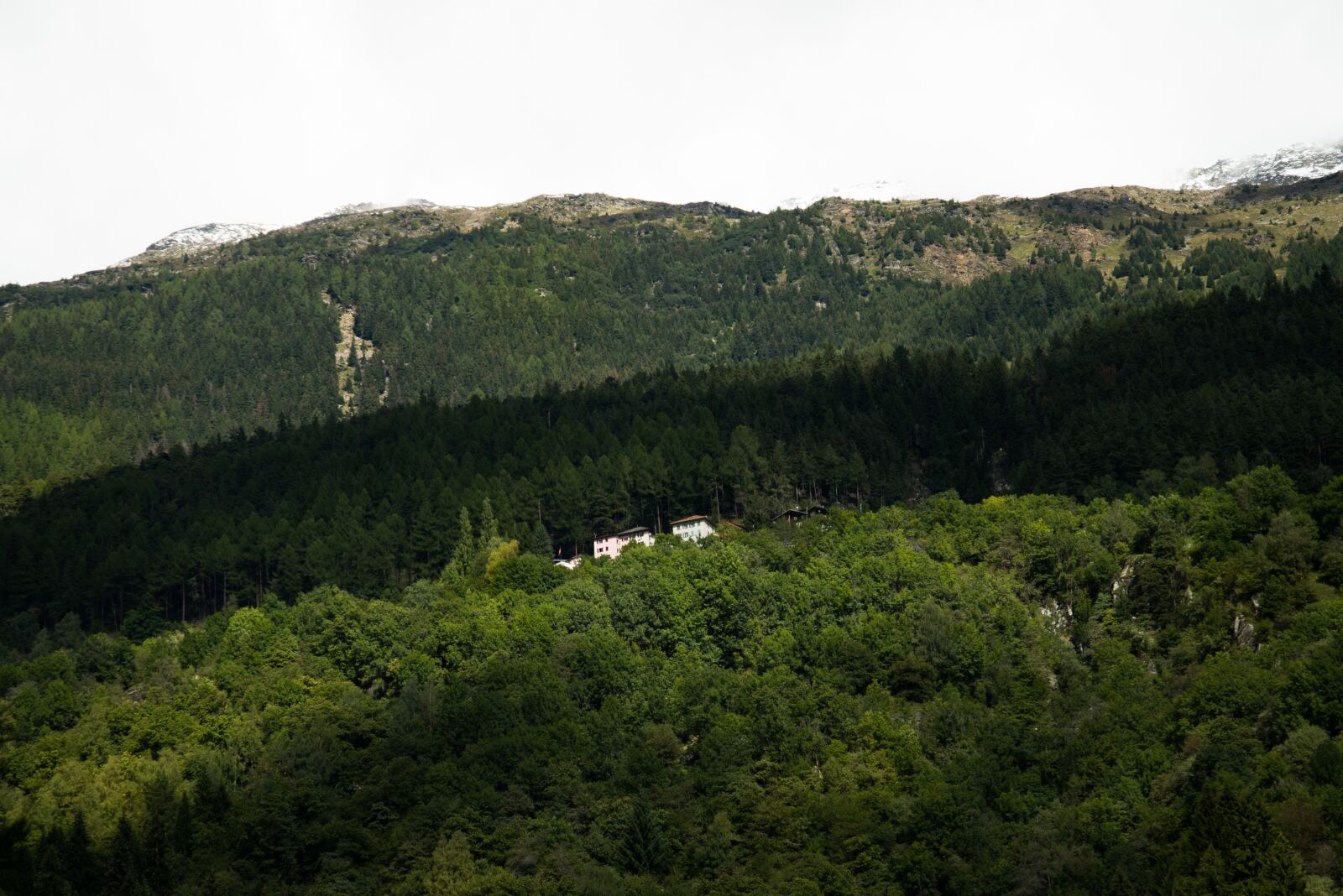 Nikon D600 sample photo. Hillside, house, landscape photography
