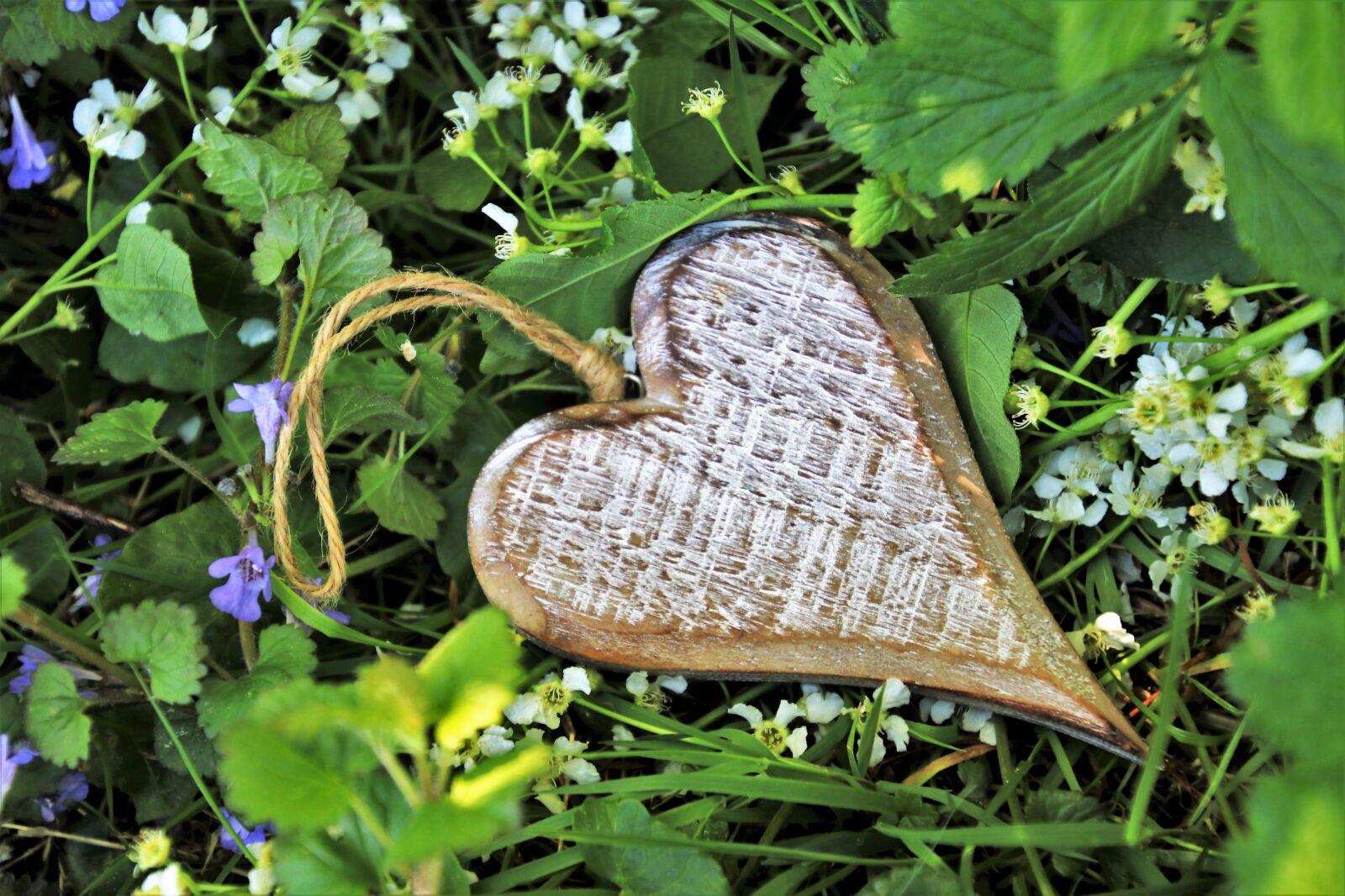 Canon EOS 80D sample photo. Heart, spring, wooden photography