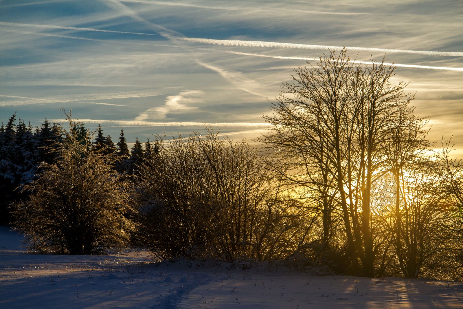 Canon EOS 7D sample photo. Winter, snow, wintry photography