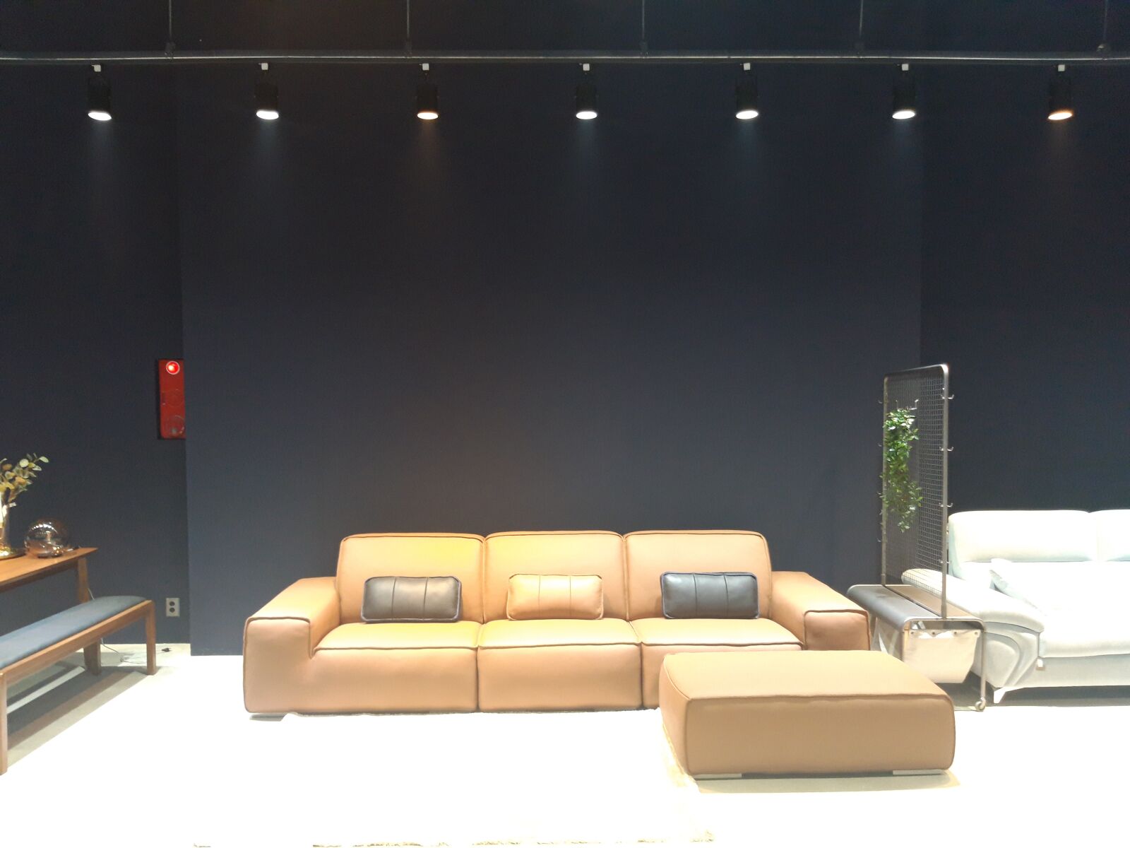Samsung Galaxy A6 sample photo. Through leather, sofa, 4 photography