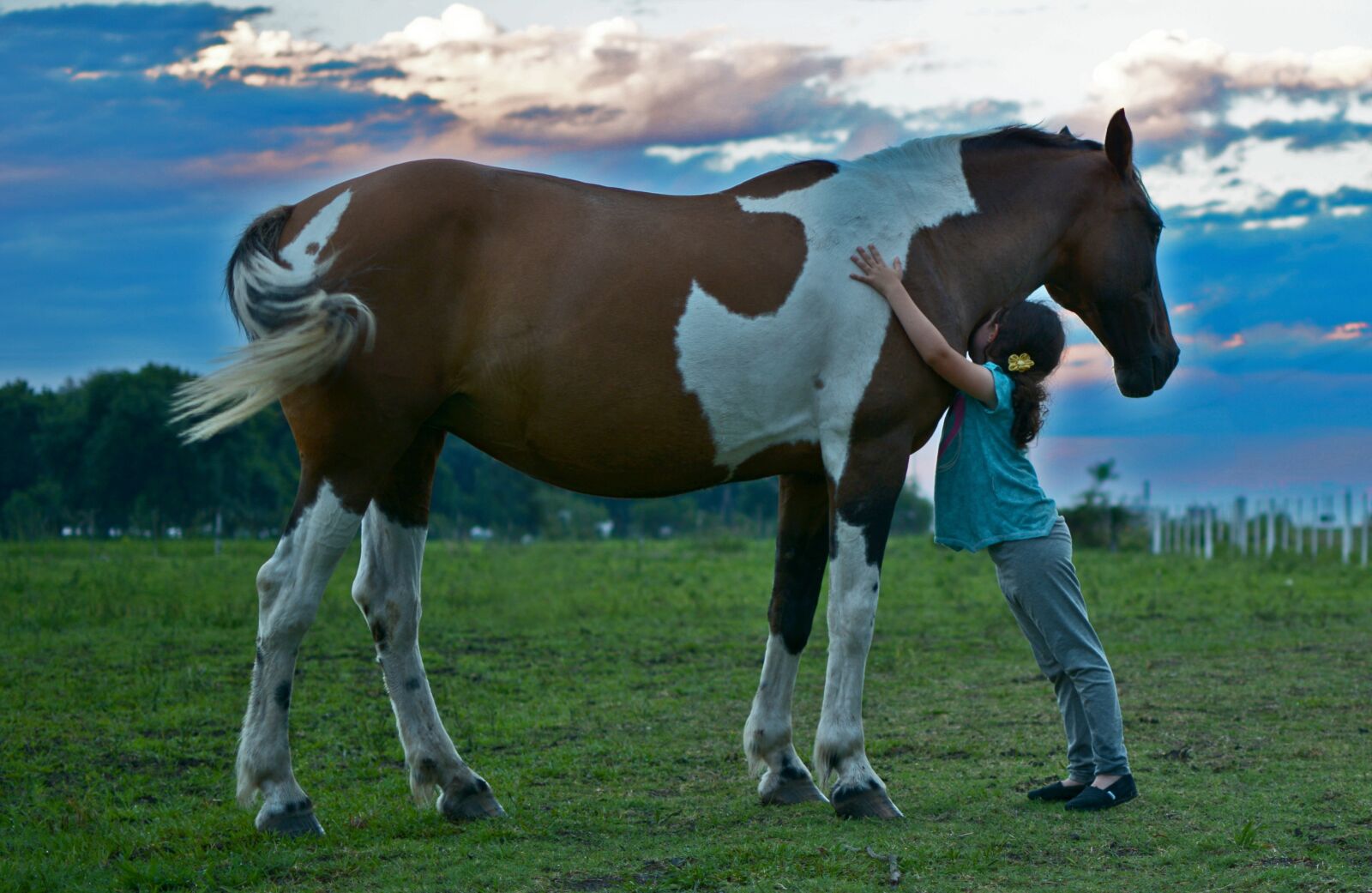 Nikon D7100 sample photo. Horse, field, girl horse photography