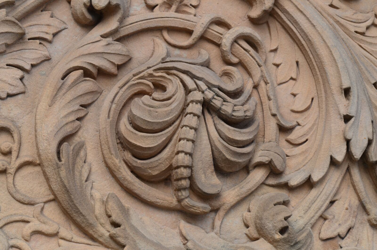 Nikon D5100 sample photo. Ornament, sand stone, leaves photography