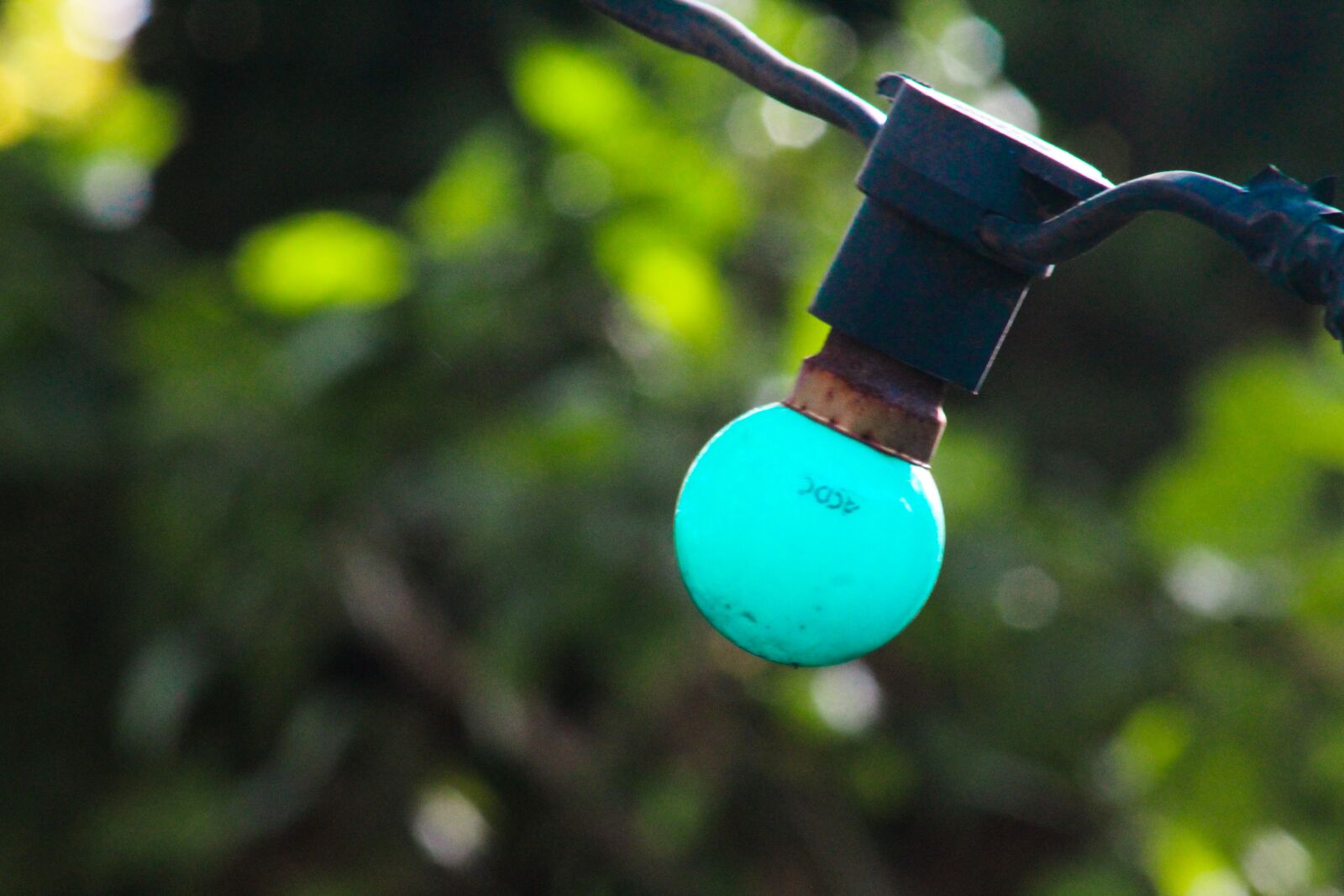 Canon EF75-300mm f/4-5.6 sample photo. Light, light bulb, blue photography