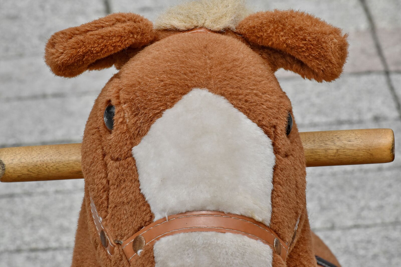 Nikon D5500 sample photo. Detail, funny, horse, outdoor photography