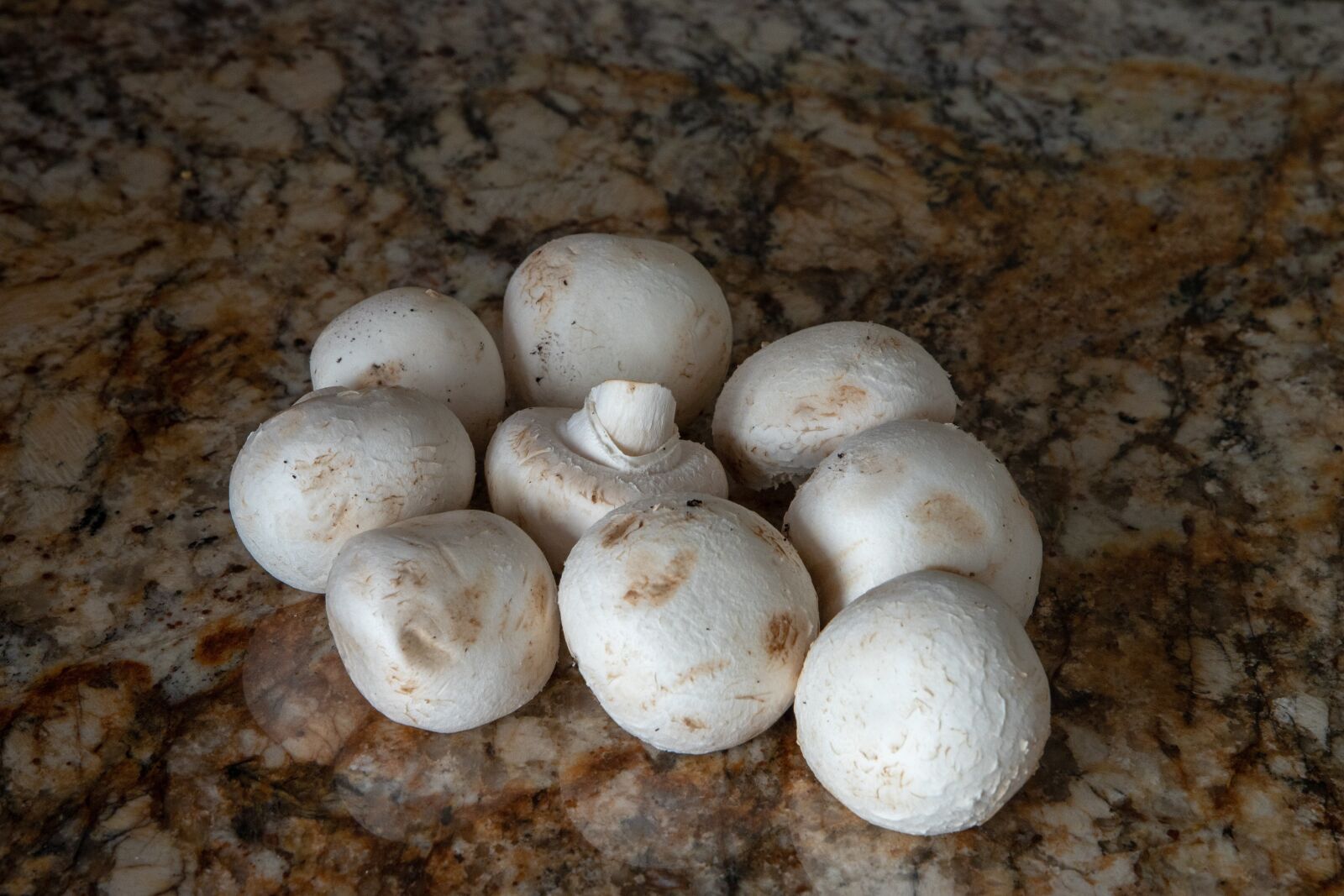 Canon EOS 6D Mark II sample photo. Mushroom, mushrooms, eat photography