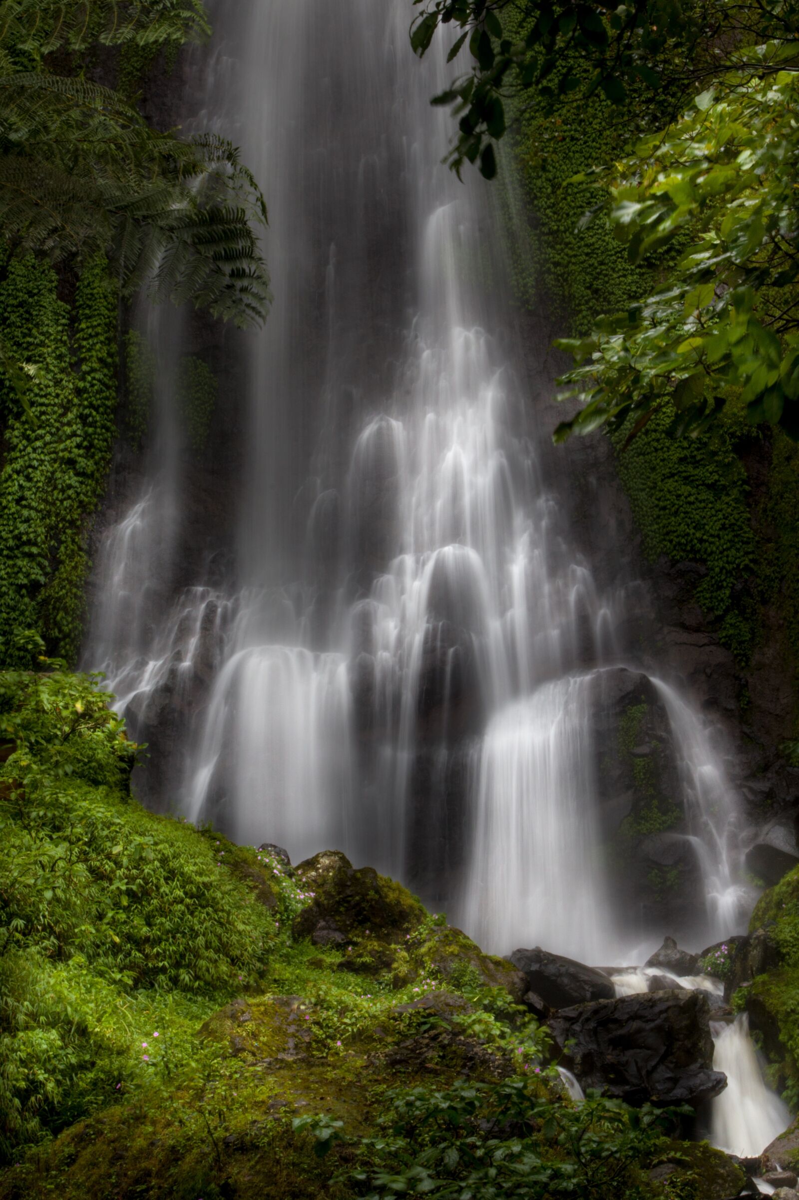 Canon EF75-300mm f/4-5.6 sample photo. Waterfall, water, the tree photography
