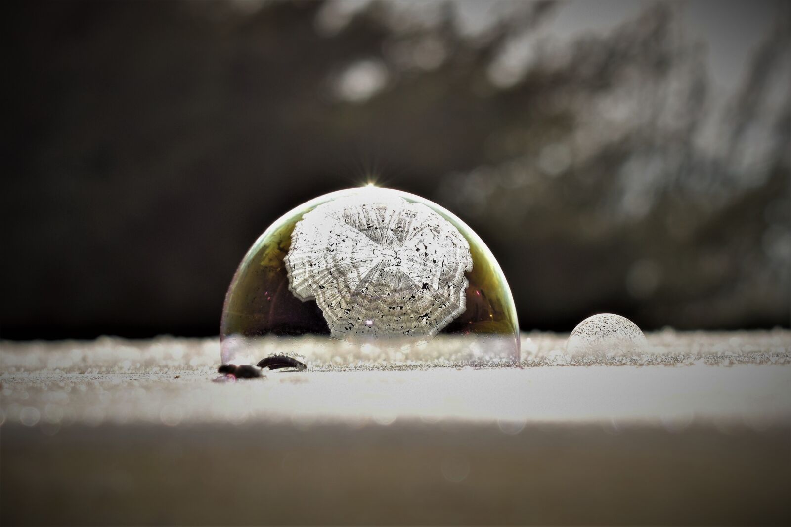 Nikon D5500 sample photo. Soap bubble, frozen, eiskristalle photography