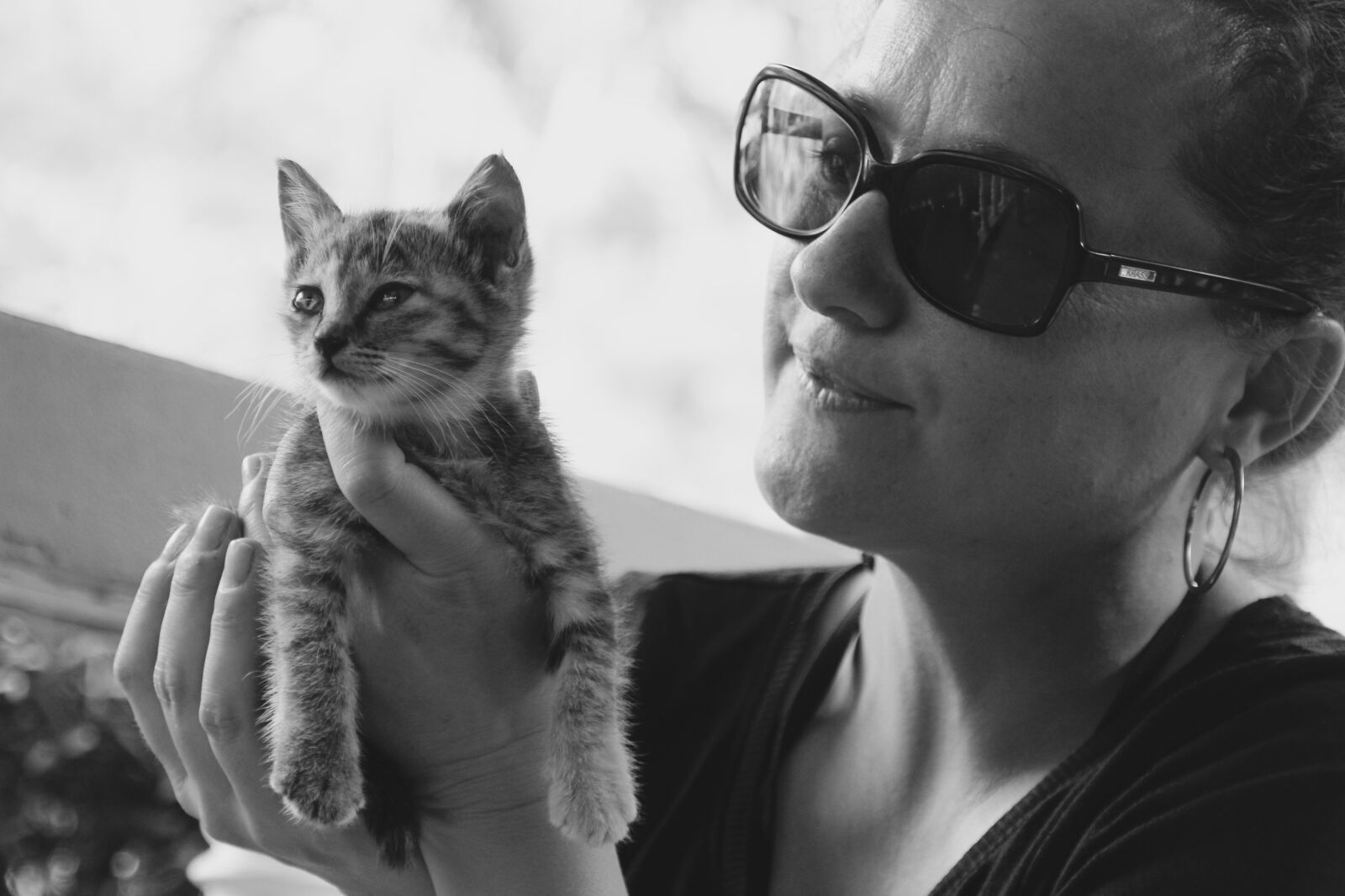 Canon EOS 60D sample photo. Cat, kitten, cat baby photography