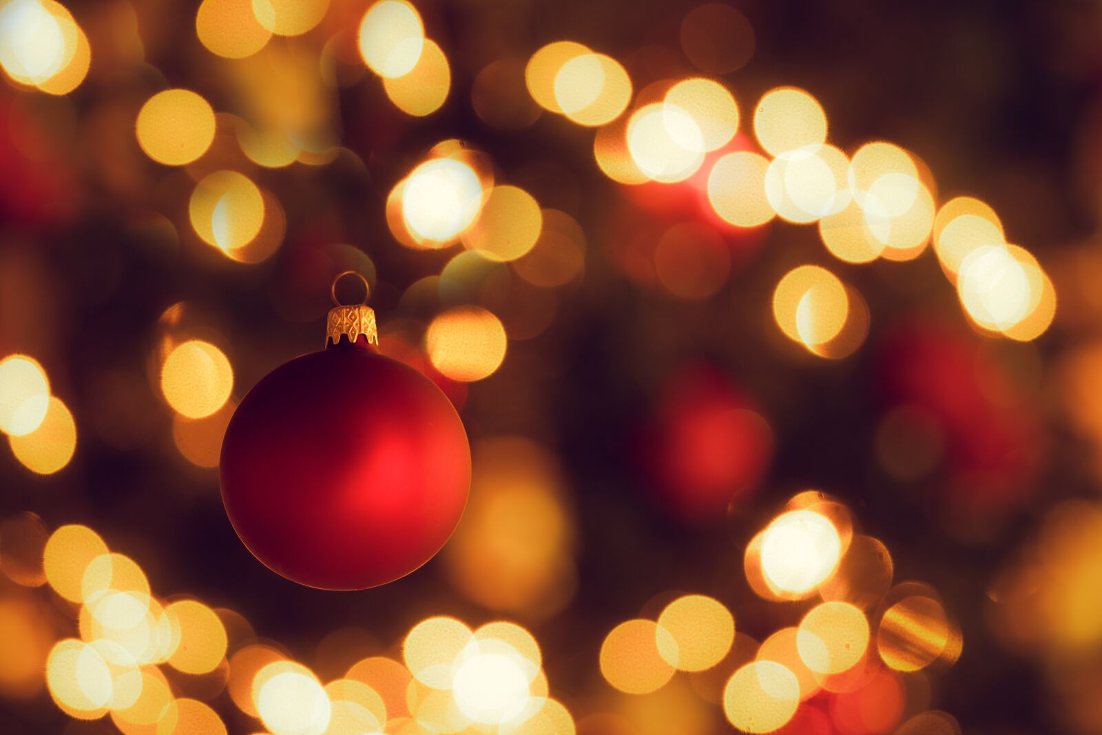 Sony a7 sample photo. Christmas tree, christmas bauble photography