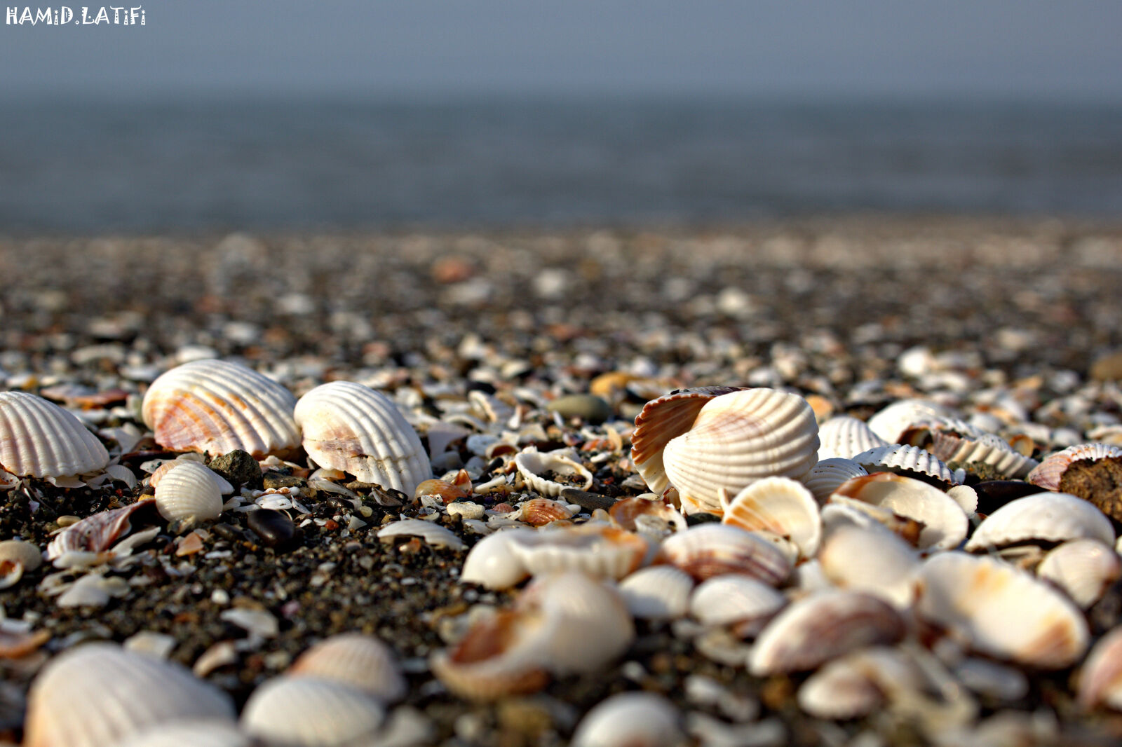 Canon EOS 60D sample photo