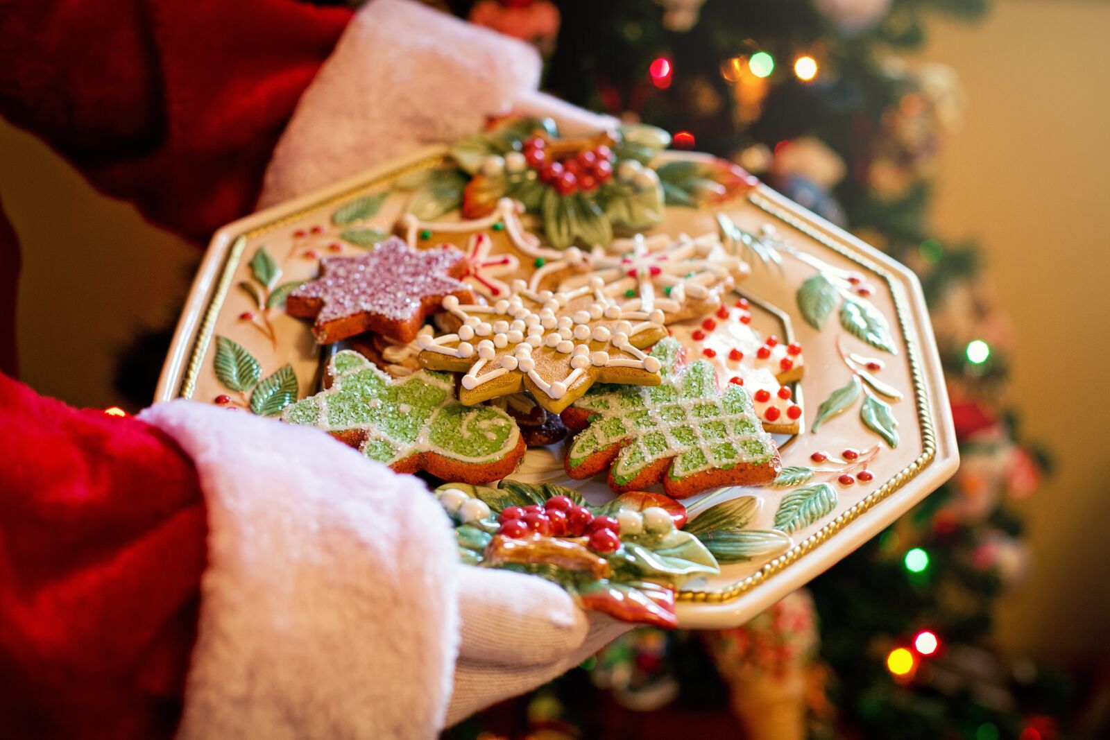 Canon EF 50mm F1.4 USM sample photo. Santa, plate of cookies photography