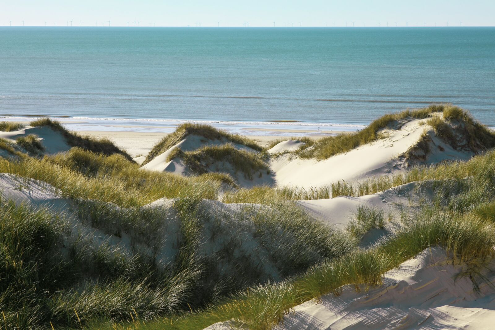 Canon EOS 5D Mark II sample photo. Dunes, landscape, sea photography