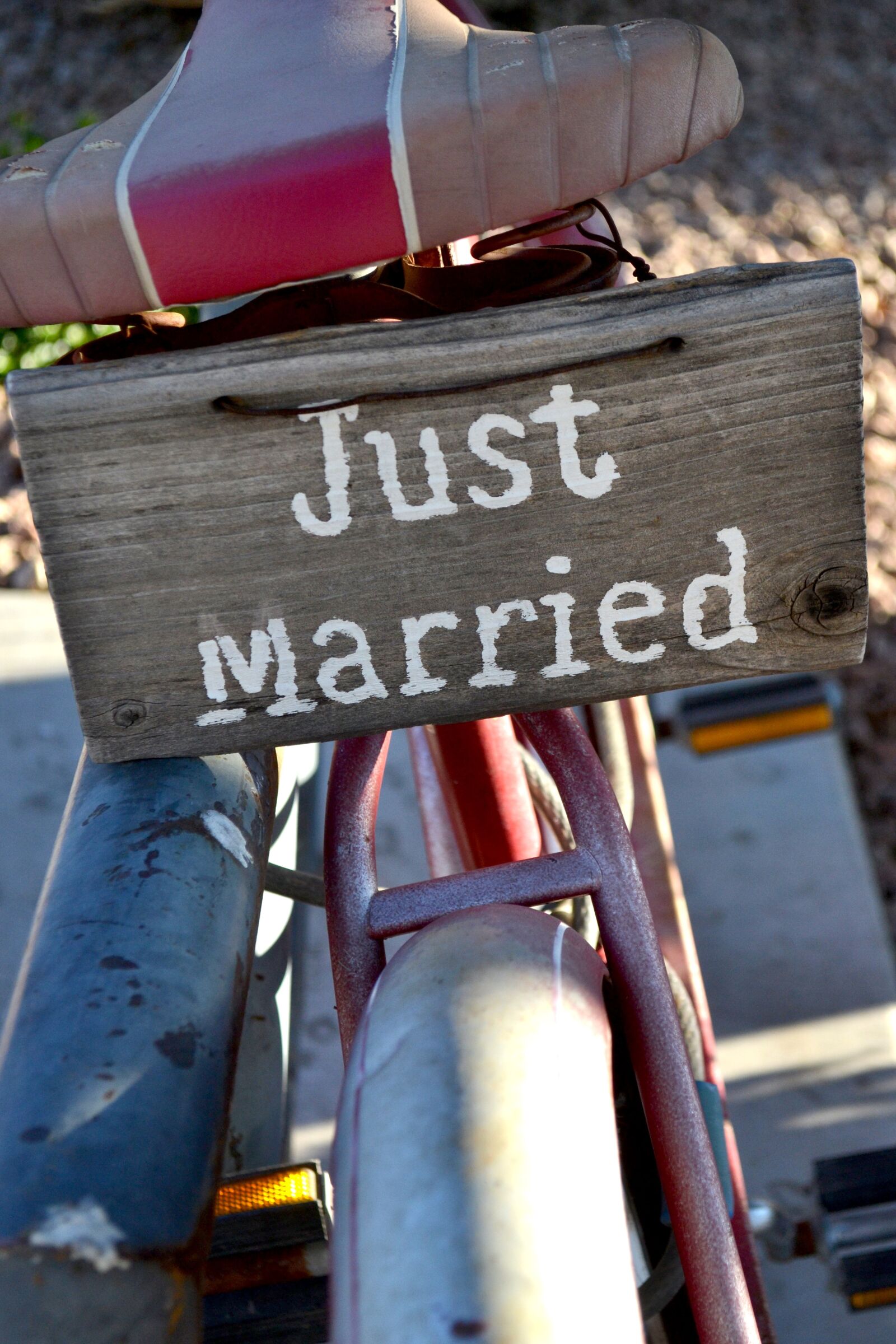 Nikon D3100 sample photo. Bicycle, just married sign photography