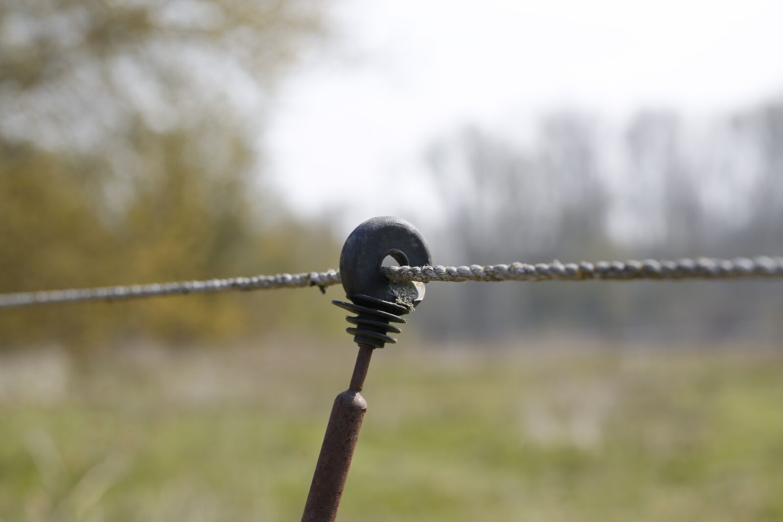 Canon EF 100mm F2.8L Macro IS USM sample photo. Pasture bridle, current, mount photography