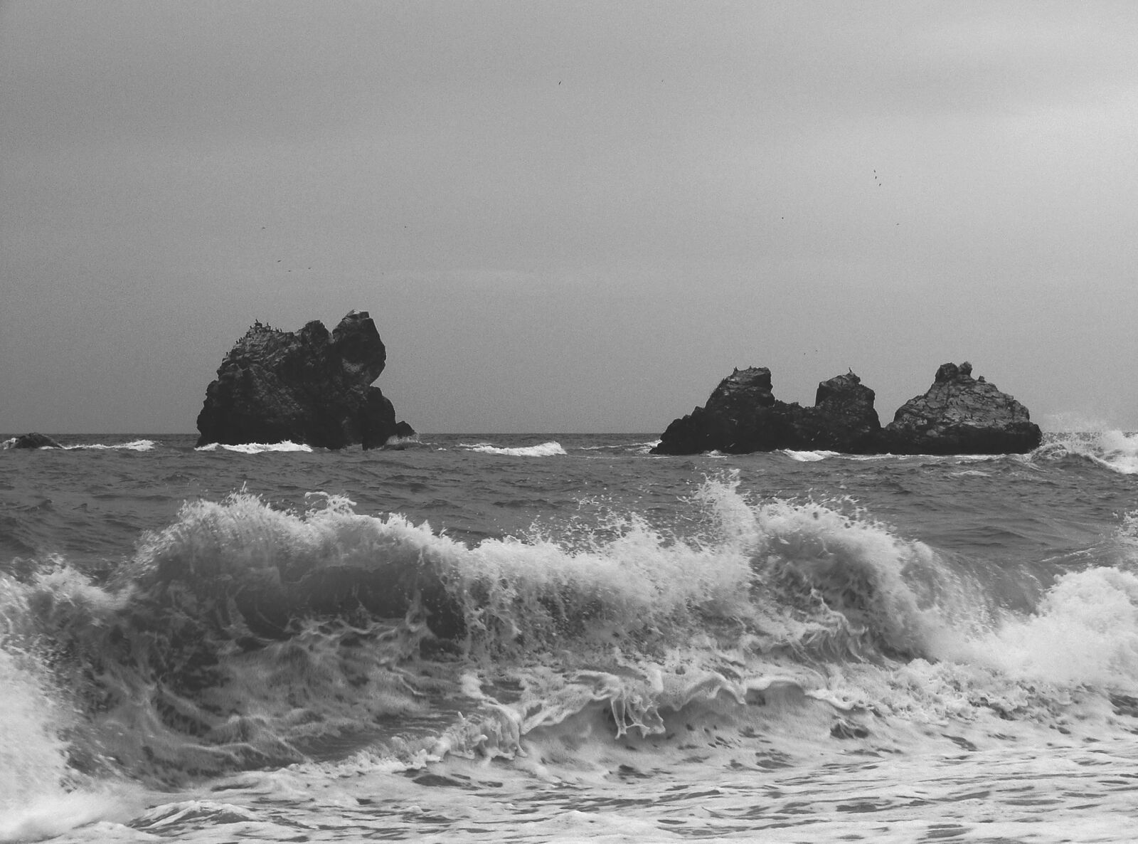 Sony Cyber-shot DSC-H10 sample photo. Black, and, white, foam photography
