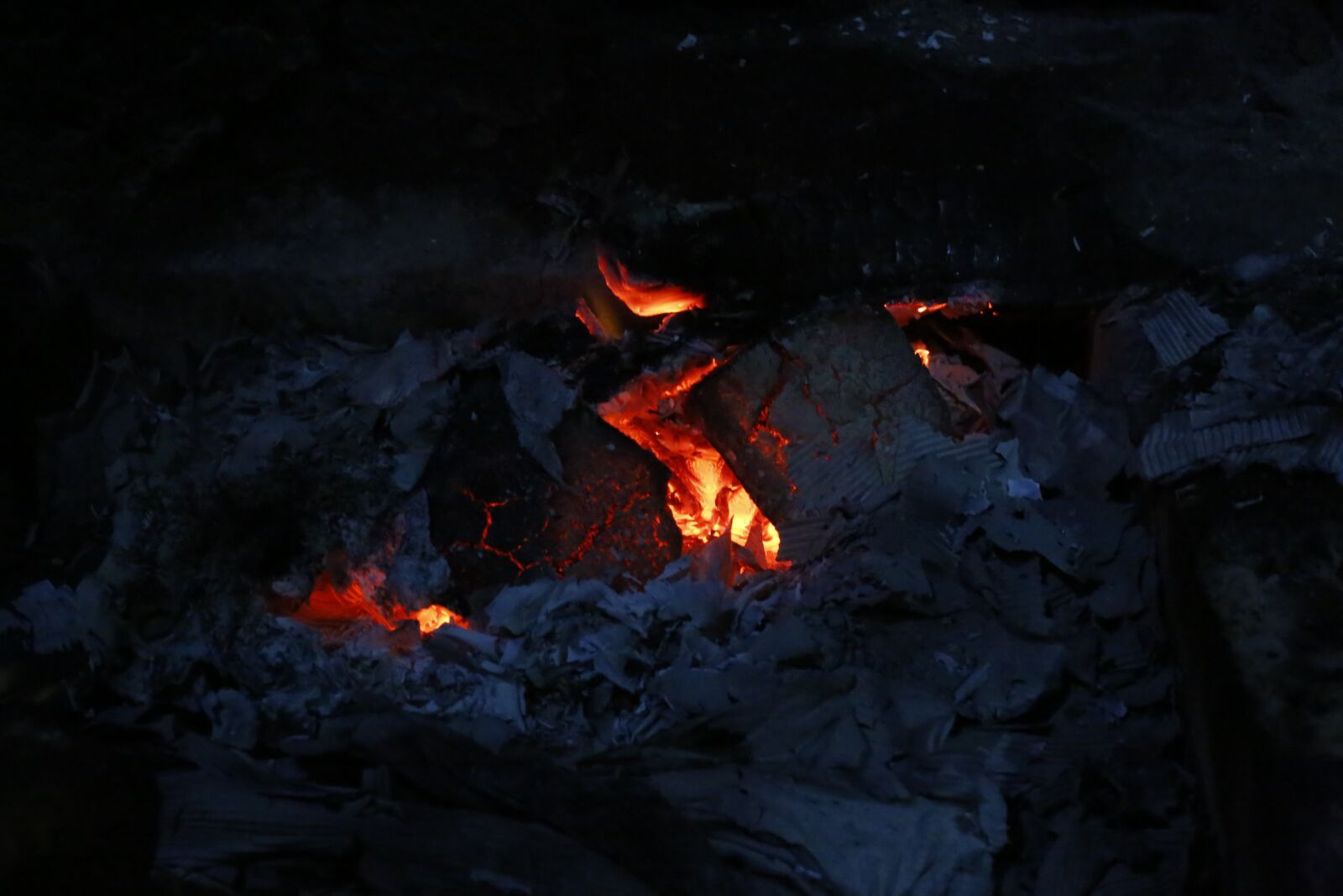 Canon EF 50mm F1.4 USM sample photo. Fire, blue, flame photography