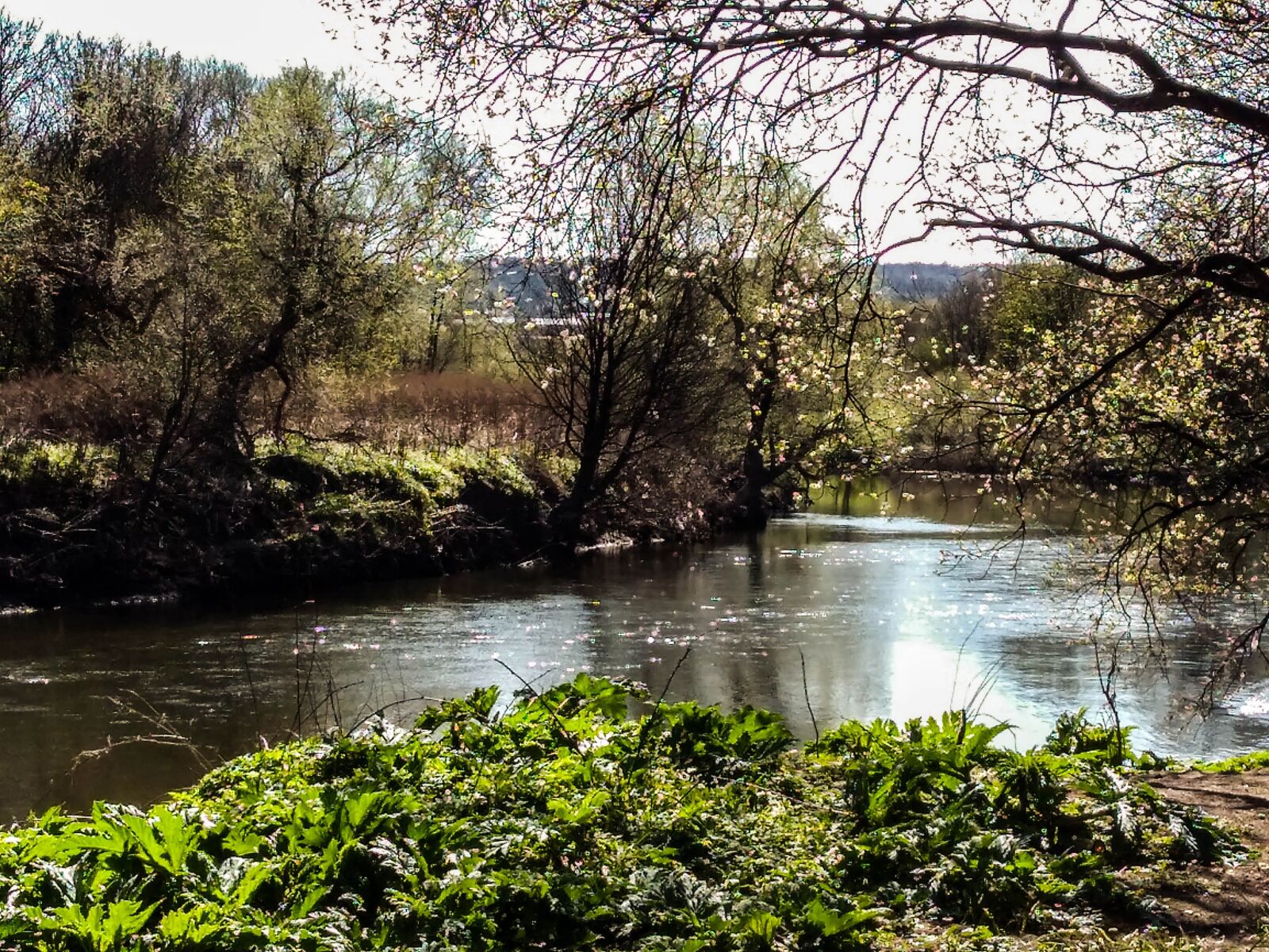 Motorola Moto G Play sample photo. Glasgow, river, scotland photography