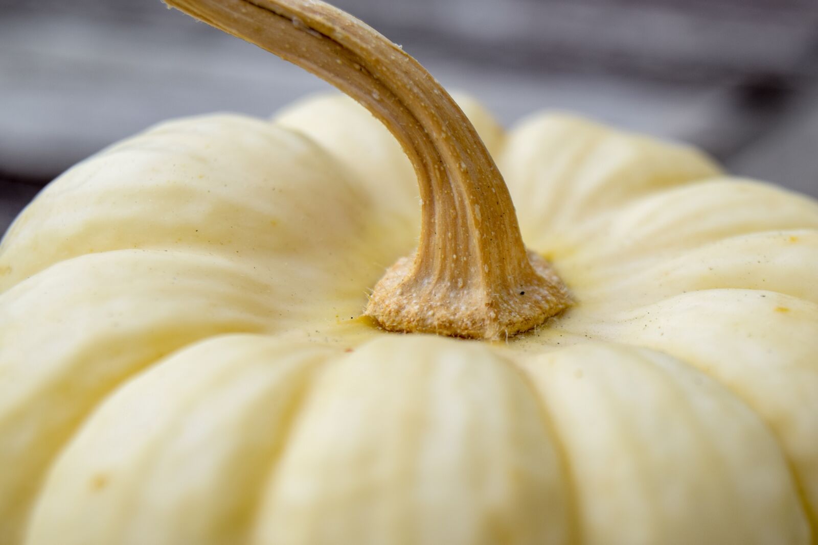 Nikon D3300 sample photo. Pumpkin, autumn, prydnadspumpa photography