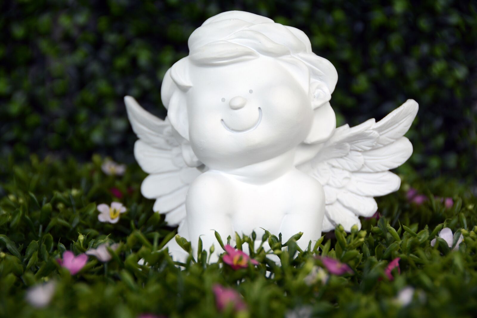 Nikon D7100 sample photo. Angel, guardian angel, wing photography