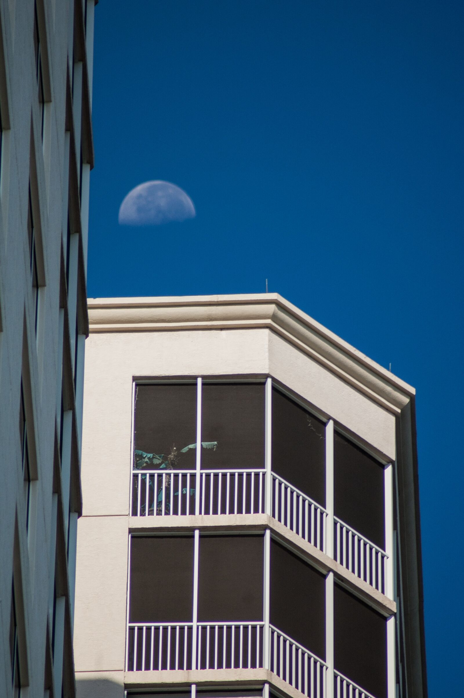 Nikon D50 sample photo. Moon, building, architecture photography