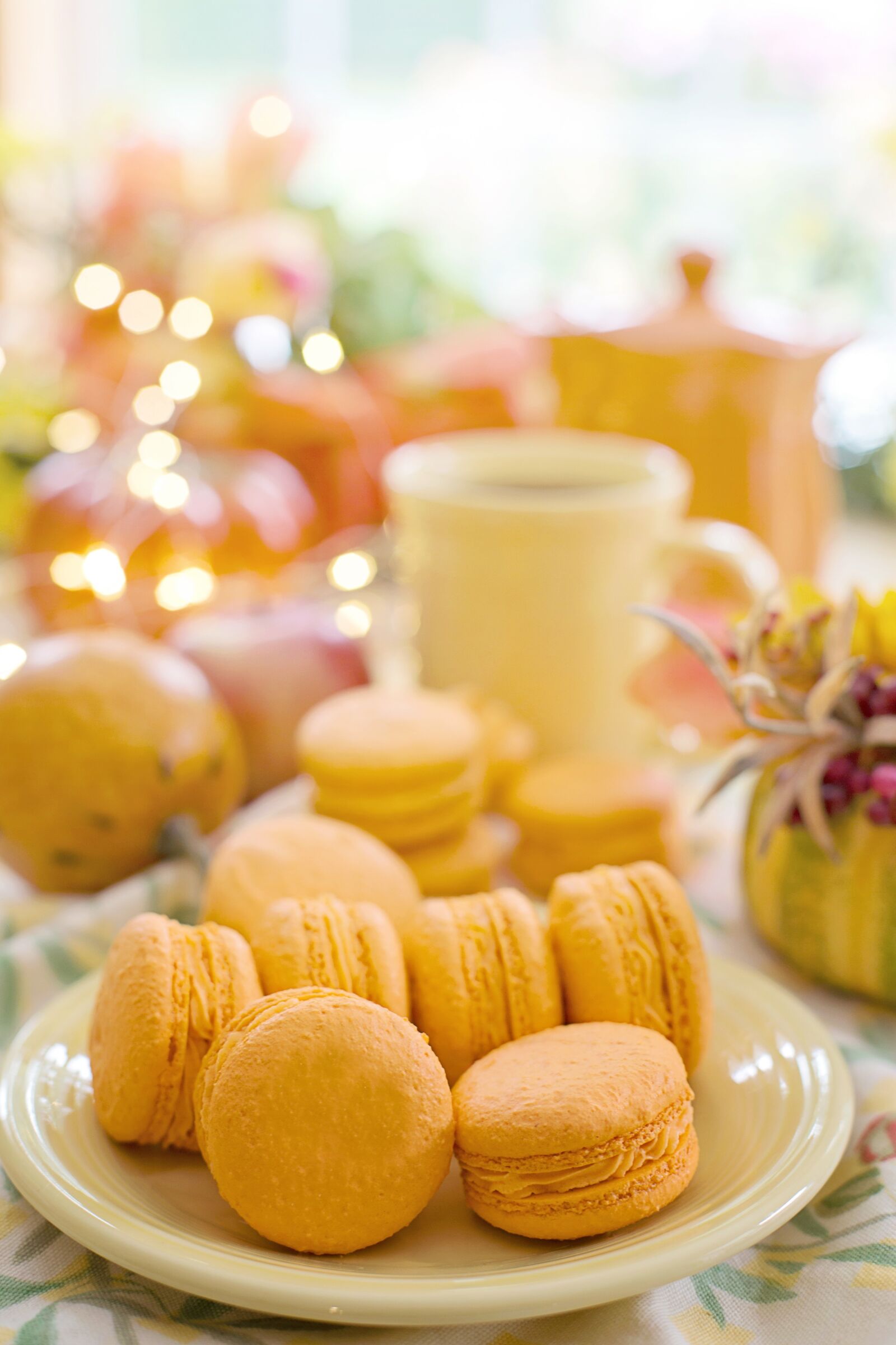 Canon EOS 5D Mark III + Canon EF 50mm F1.4 USM sample photo. Macarons, french macarons, sweets photography