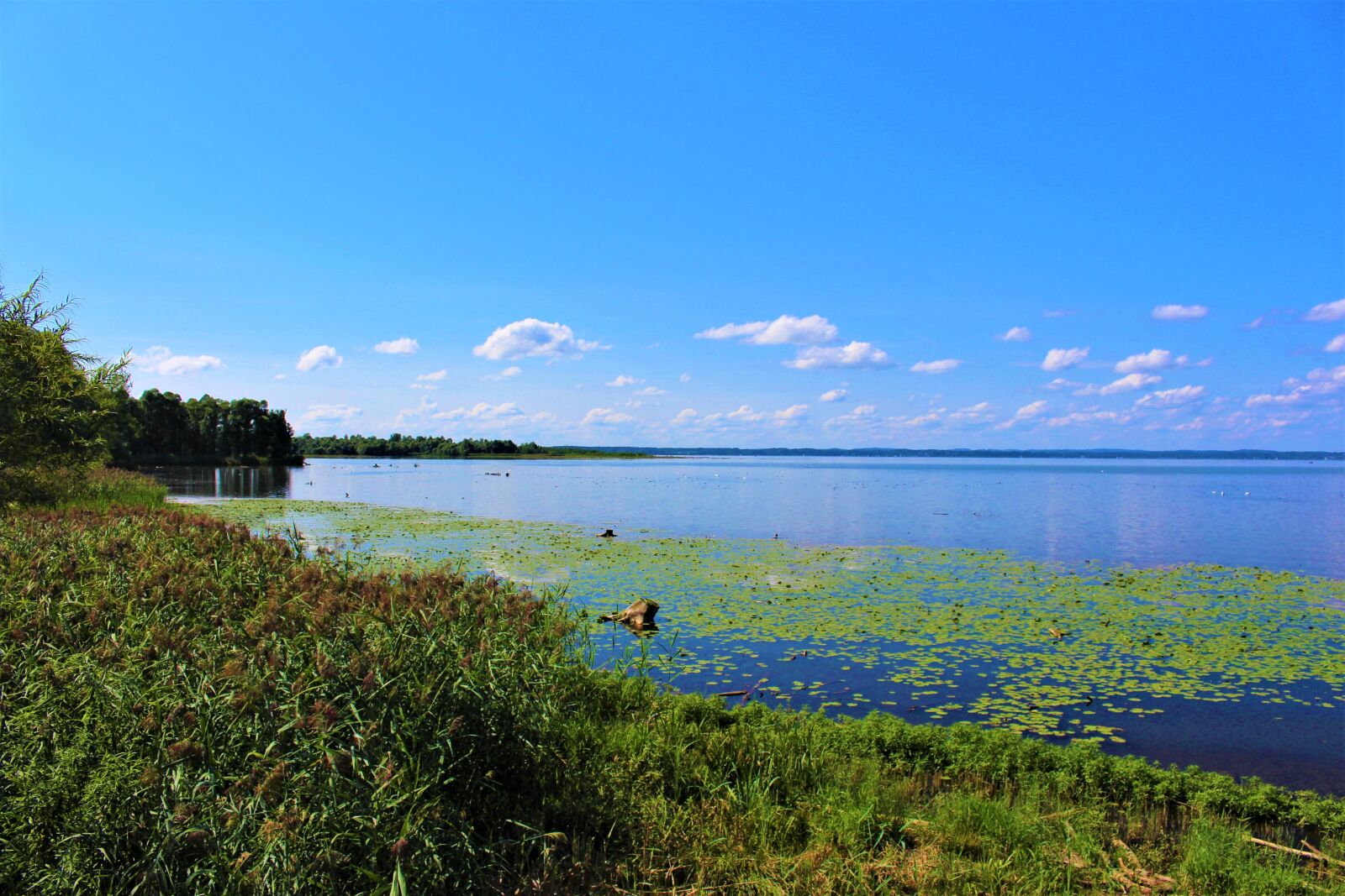 Canon EOS 700D (EOS Rebel T5i / EOS Kiss X7i) sample photo. Chiemsee, nature reserve, view photography