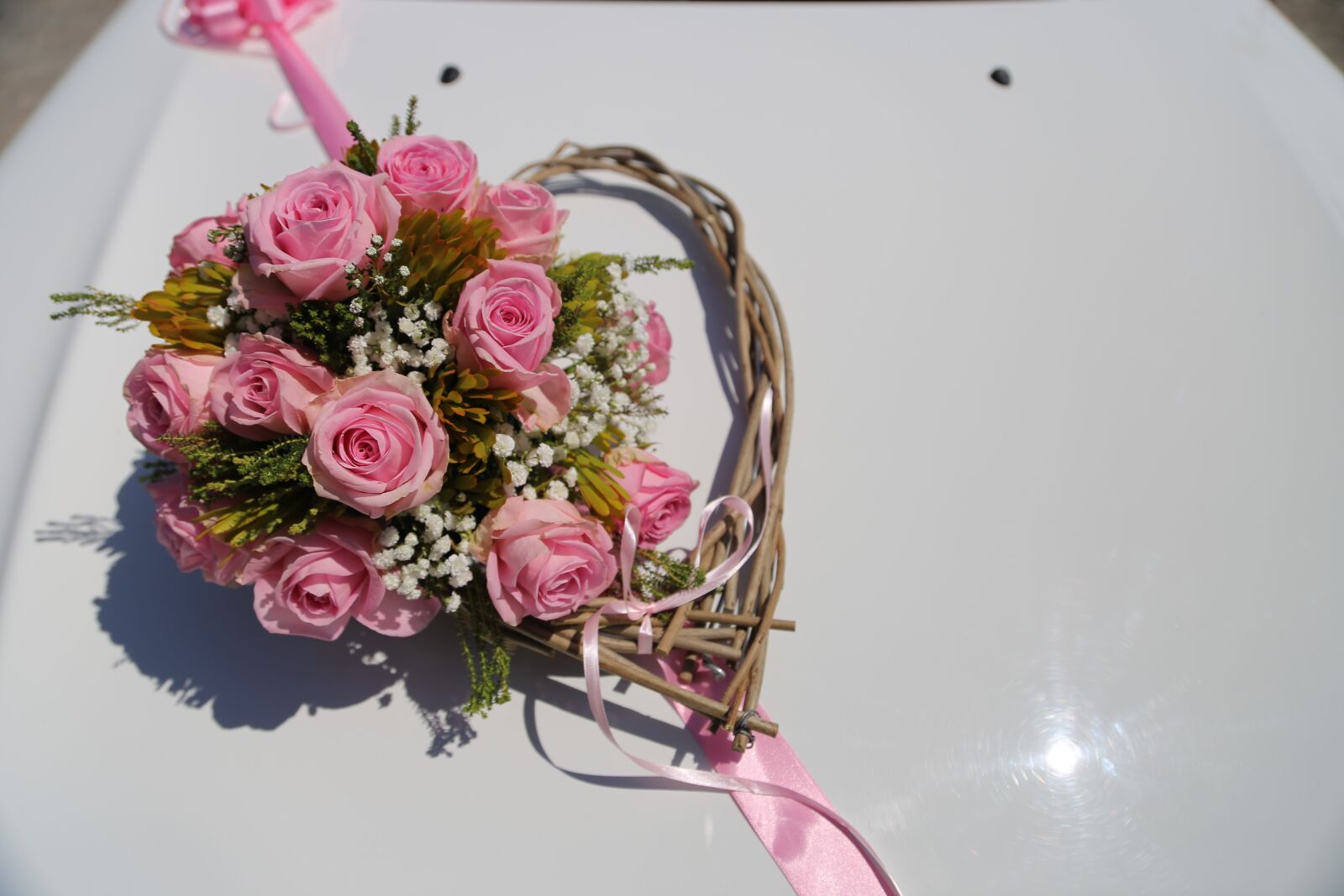 Canon EF 24-105mm F4L IS USM sample photo. Roses, handmade, pinkish, heart photography