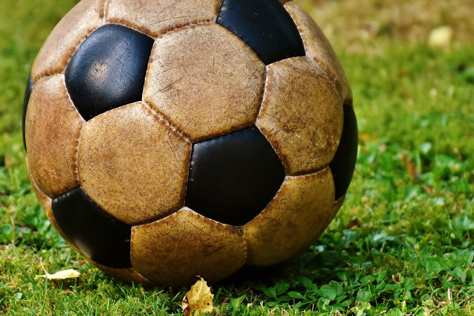 Nikon D7200 sample photo. Football, ball, round photography