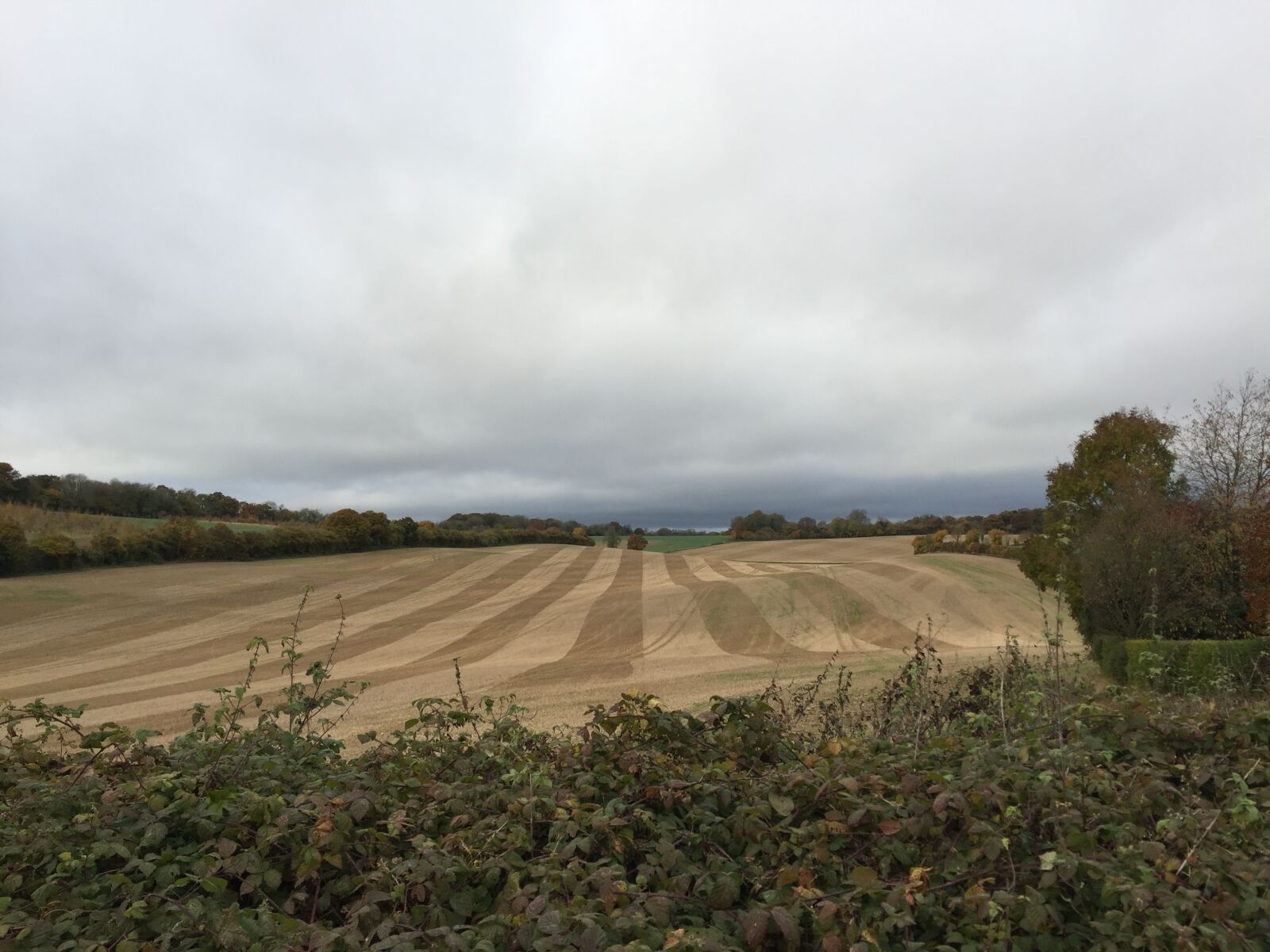 Apple iPhone 6 sample photo. West meon, field, crop photography